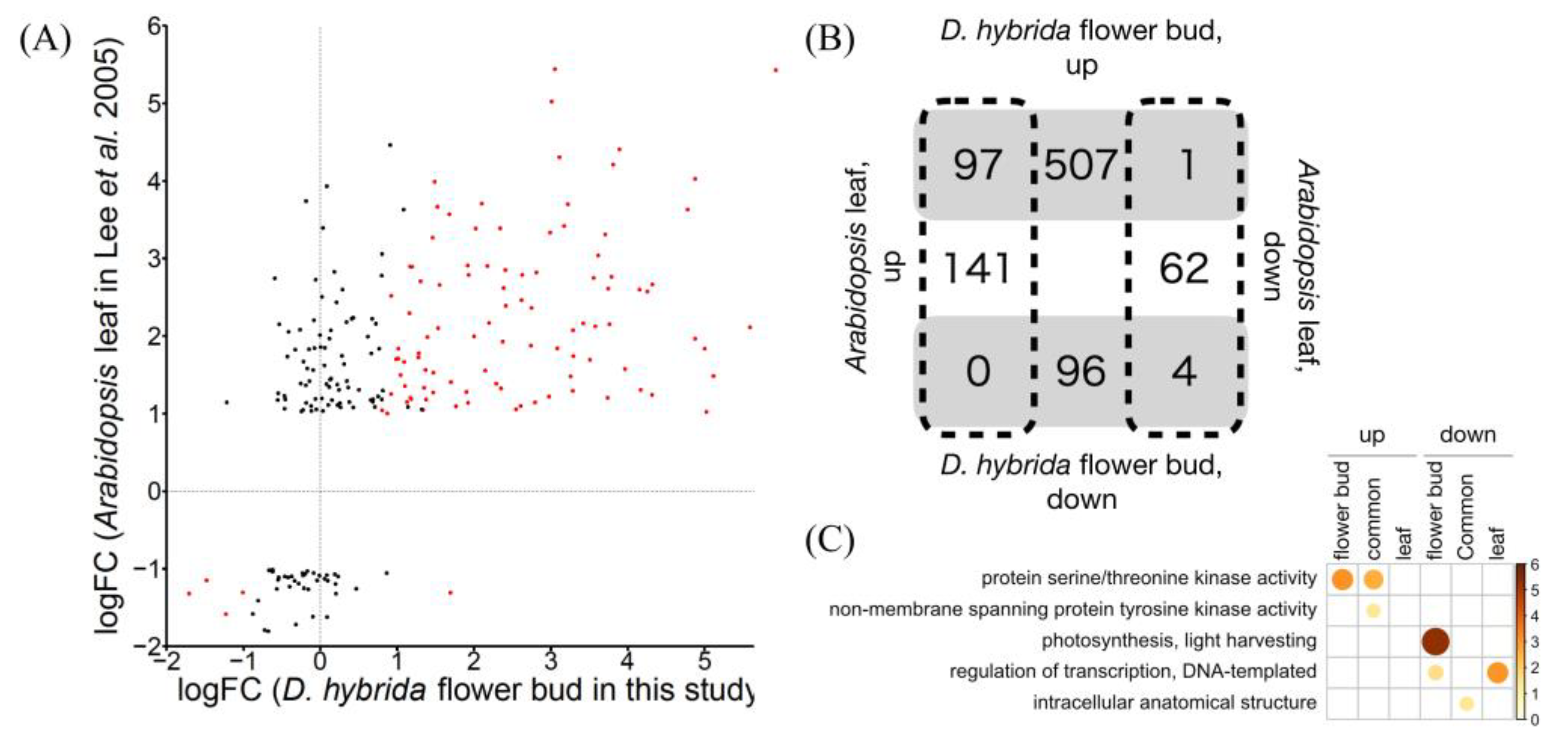 Horticulturae 08 00918 g002