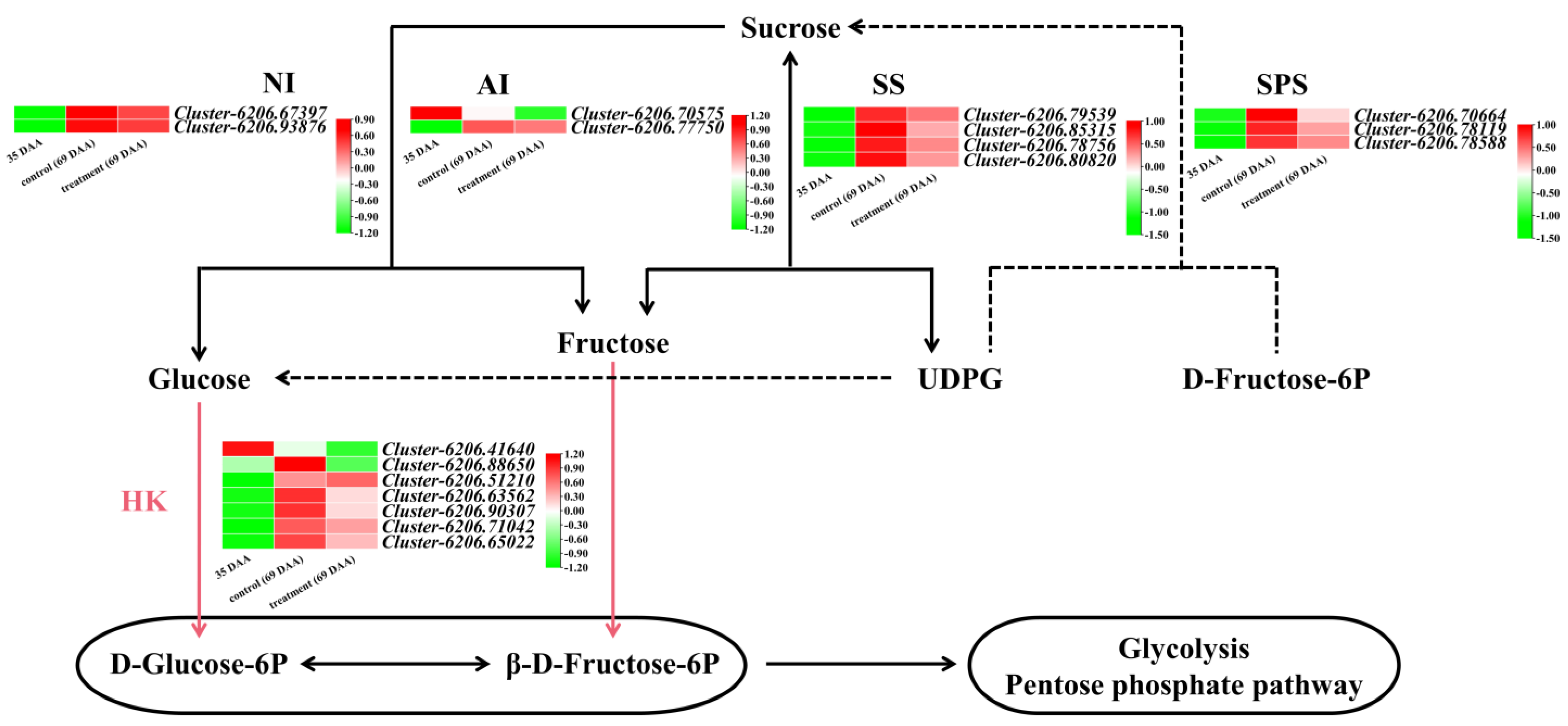 Horticulturae 08 01197 g005