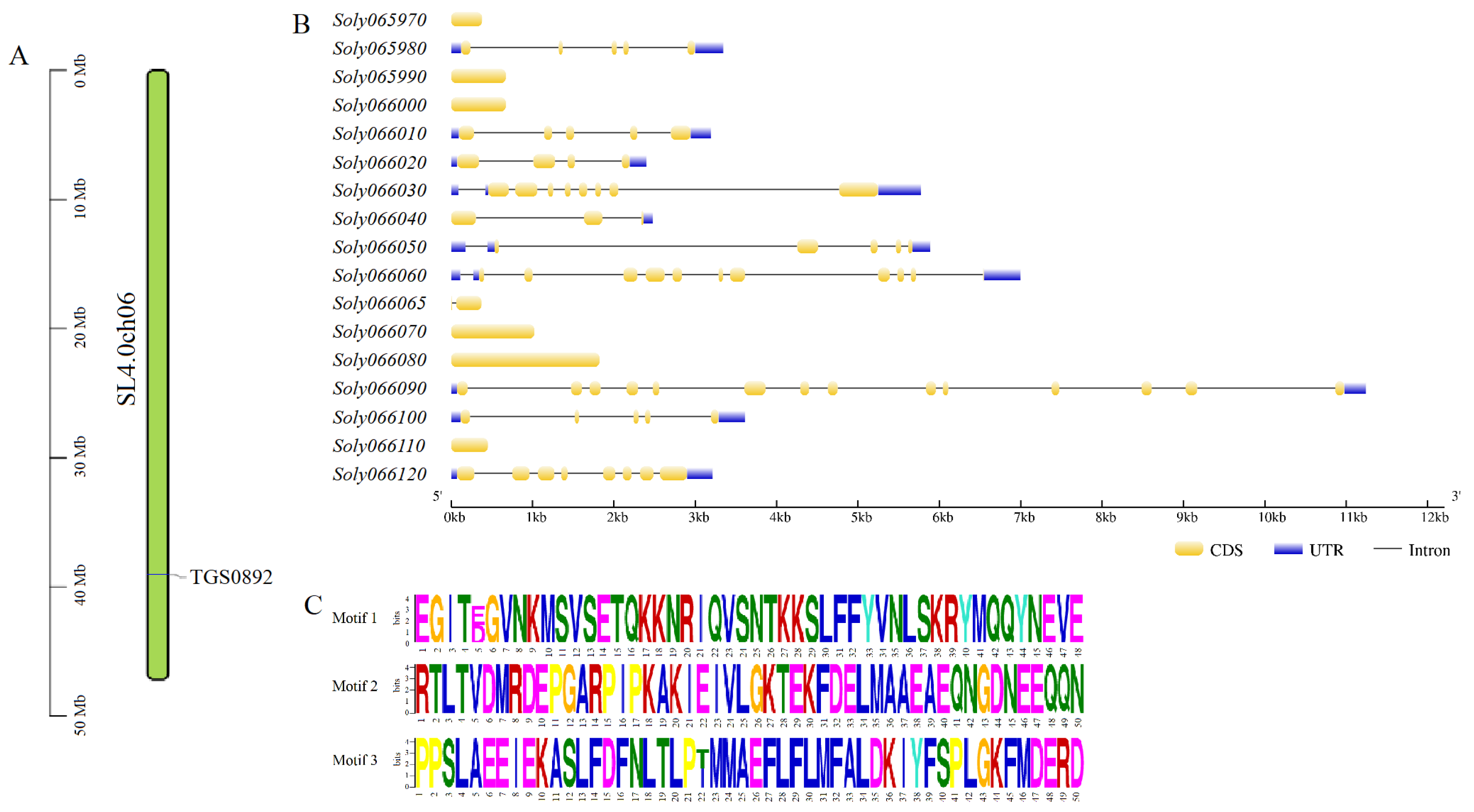 Horticulturae 09 00052 g002