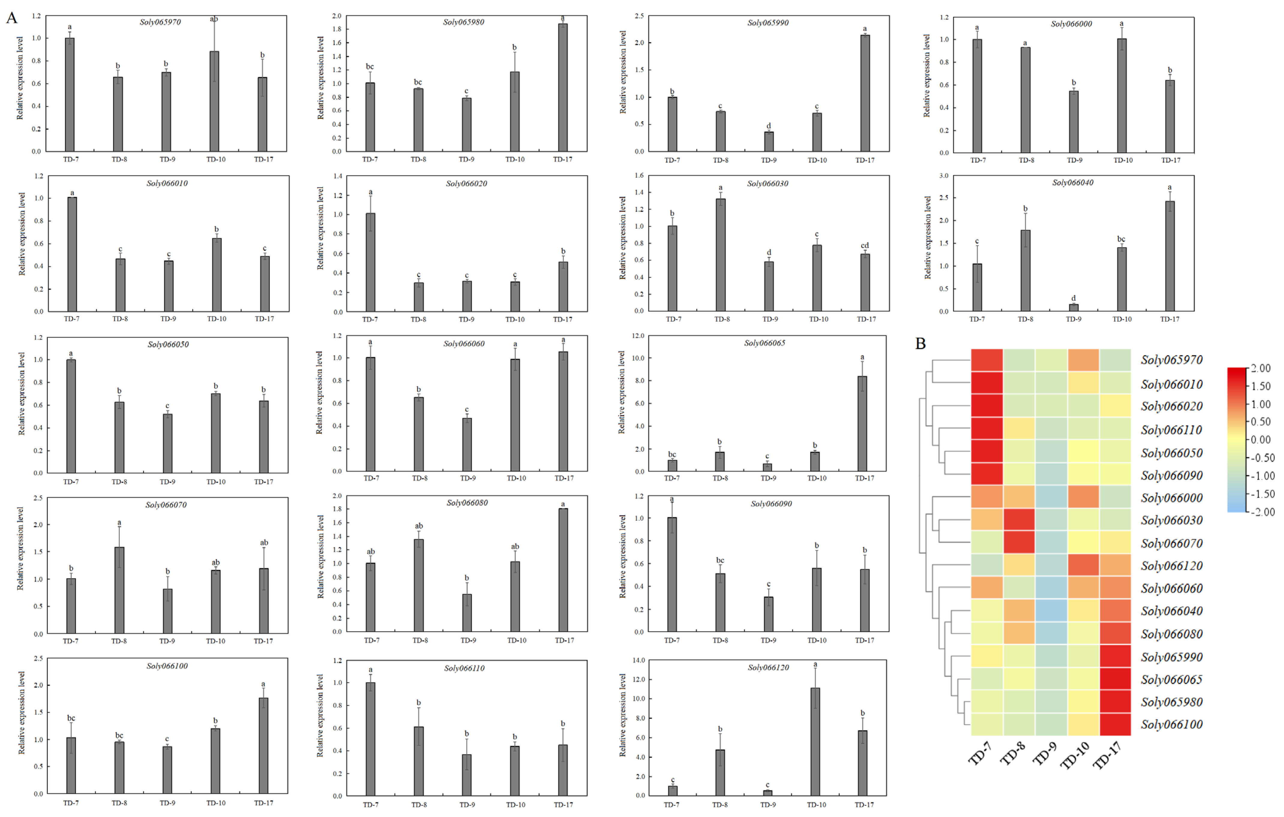 Horticulturae 09 00052 g004