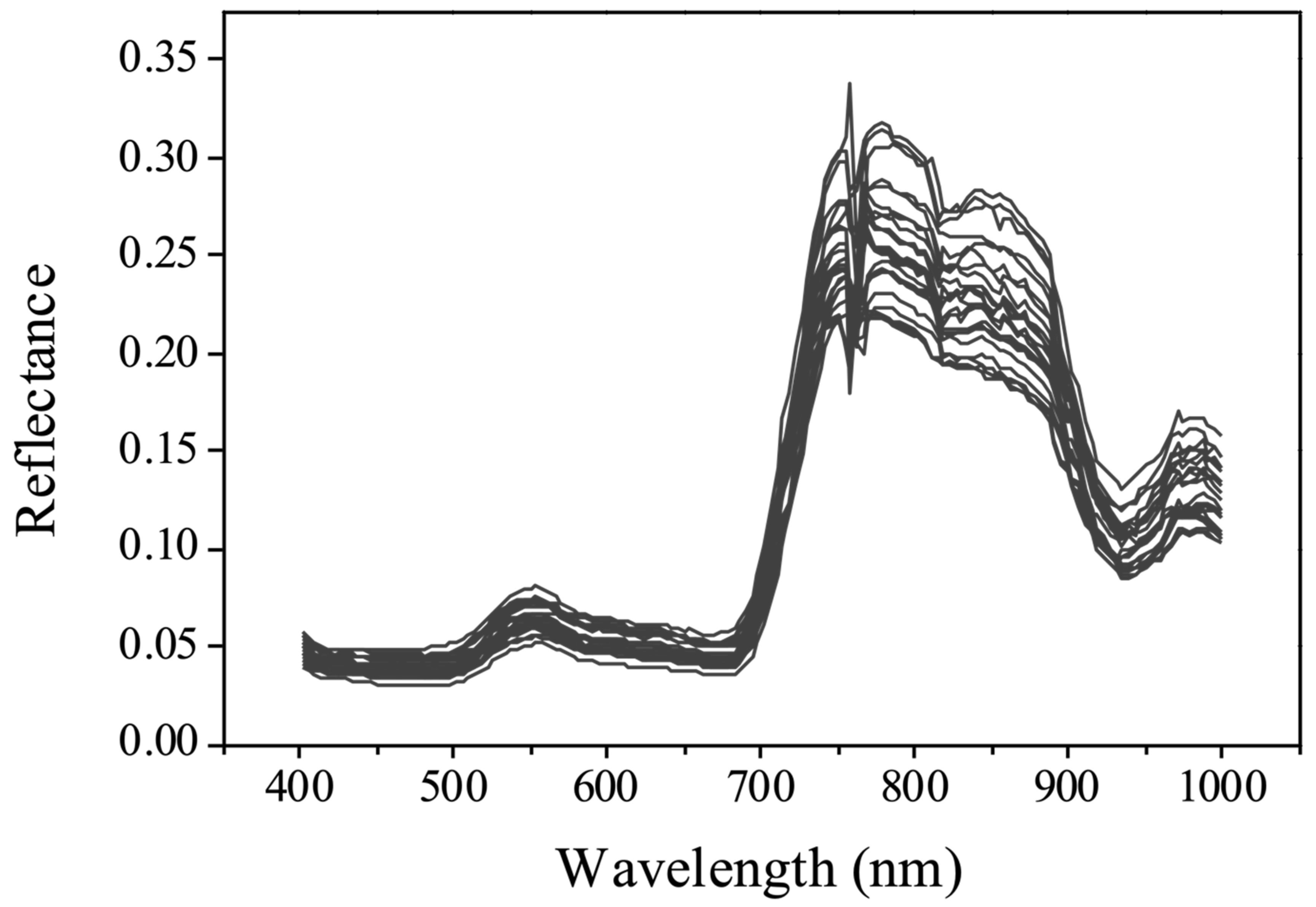Horticulturae 09 00967 g004