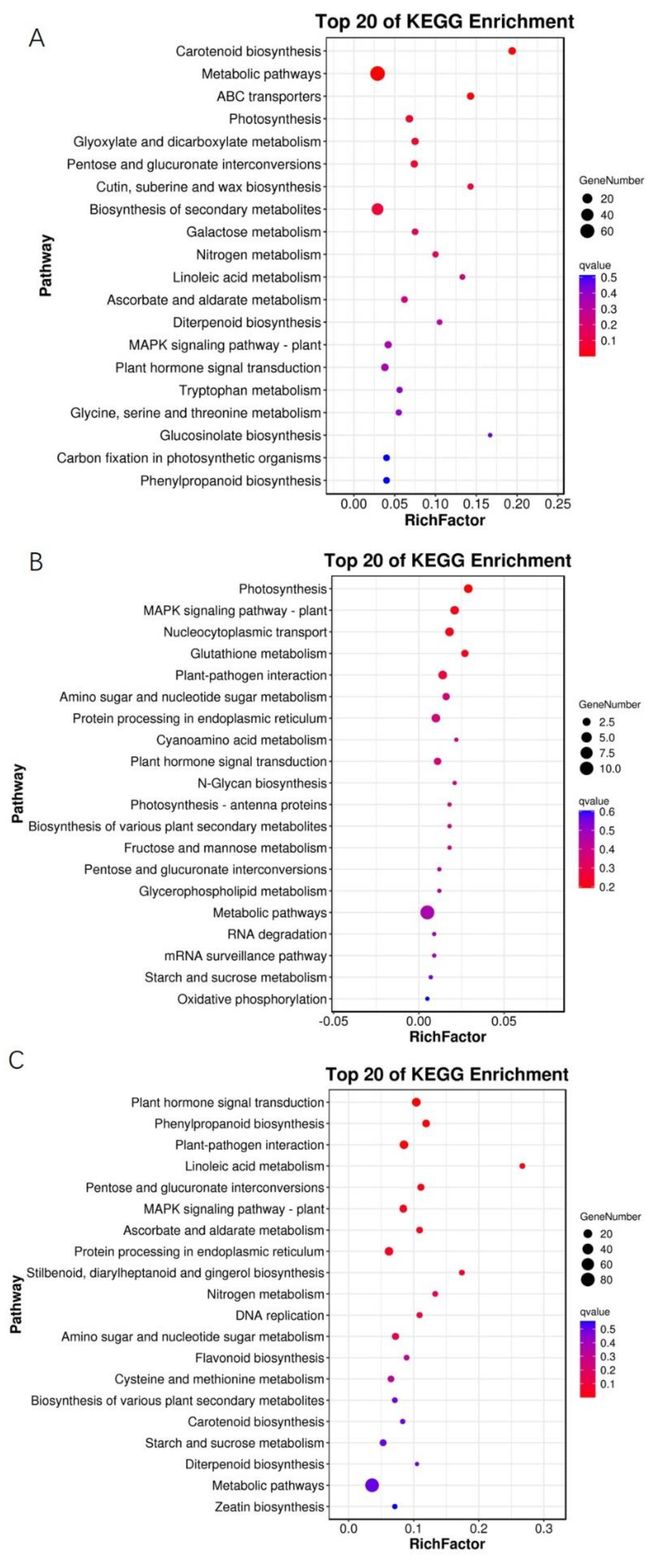Horticulturae 09 01010 g007