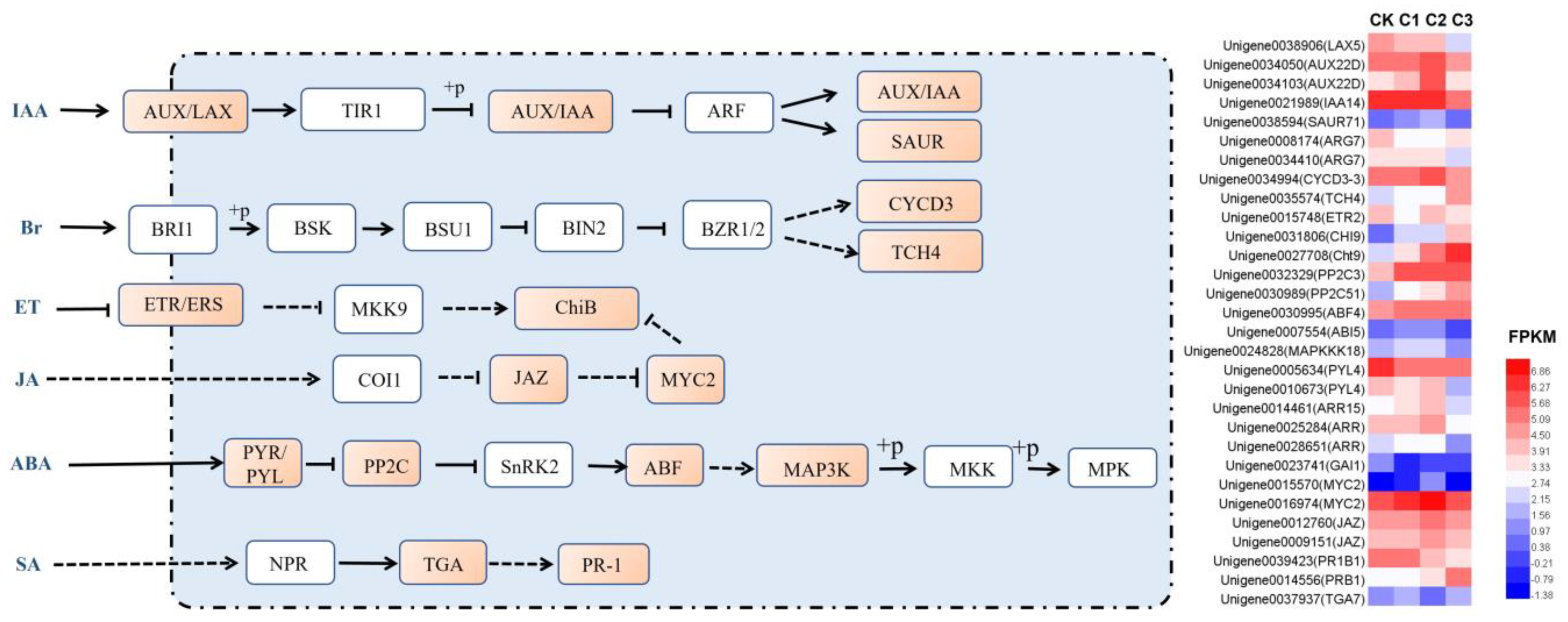 Horticulturae 09 01010 g009