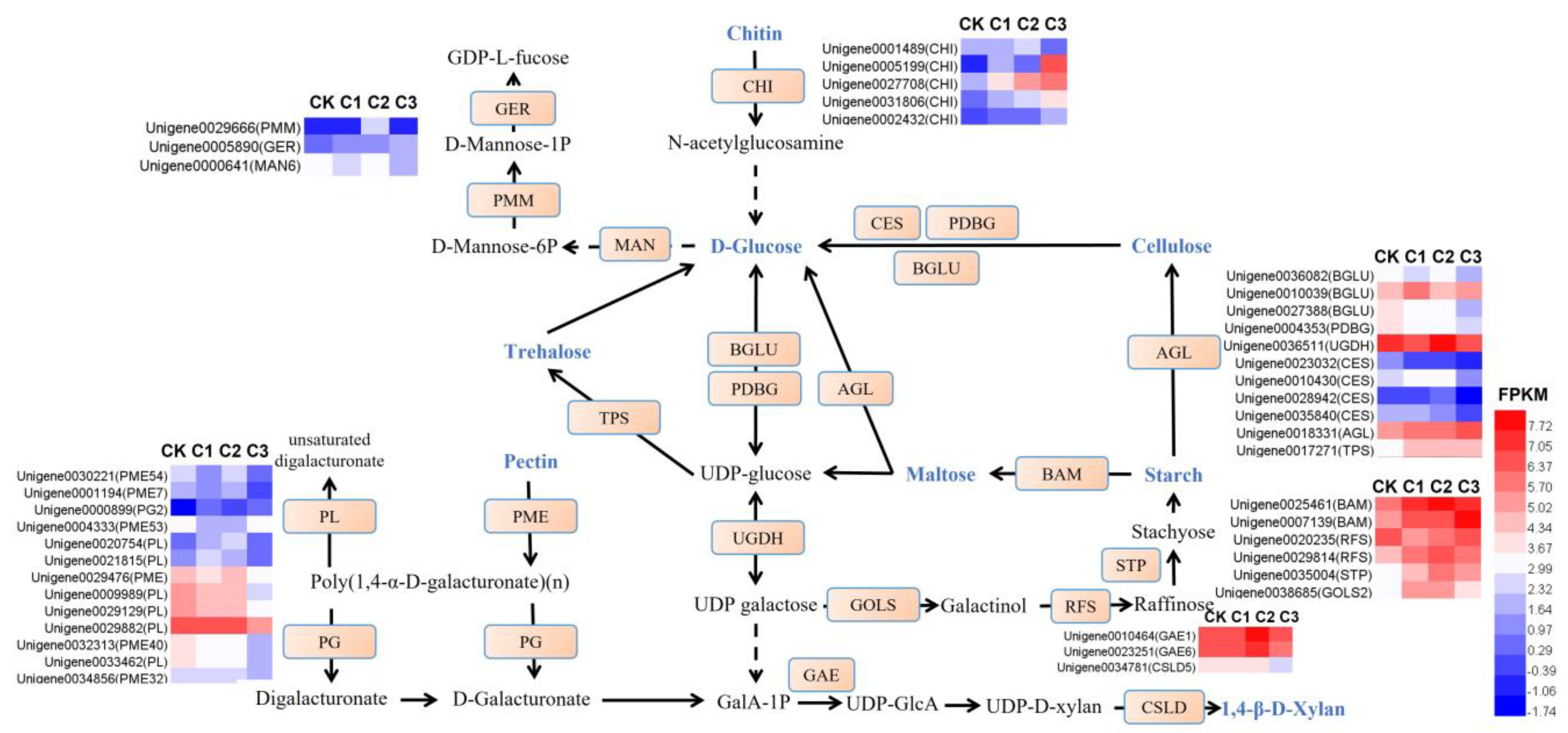 Horticulturae 09 01010 g010