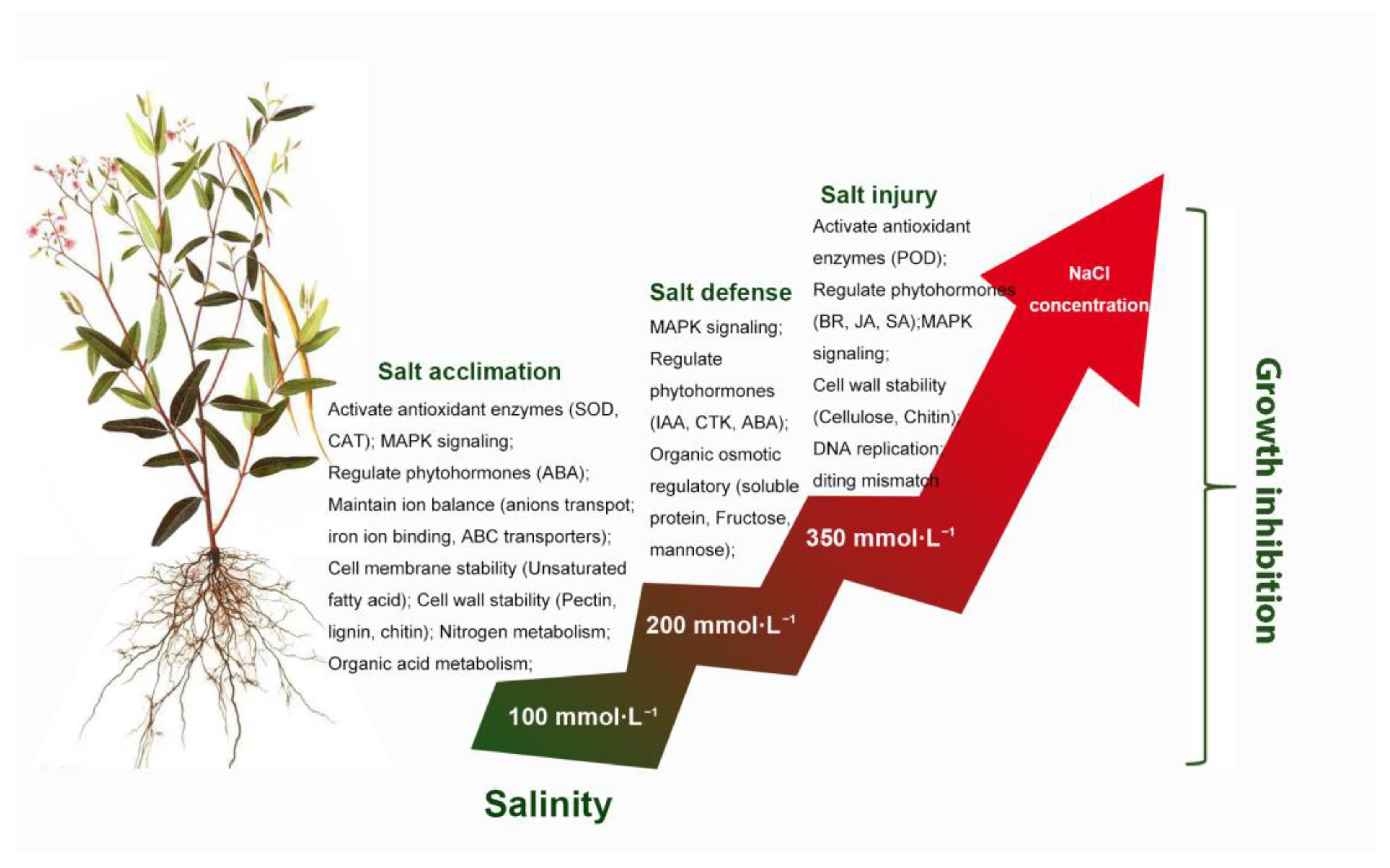 Horticulturae 09 01010 g013