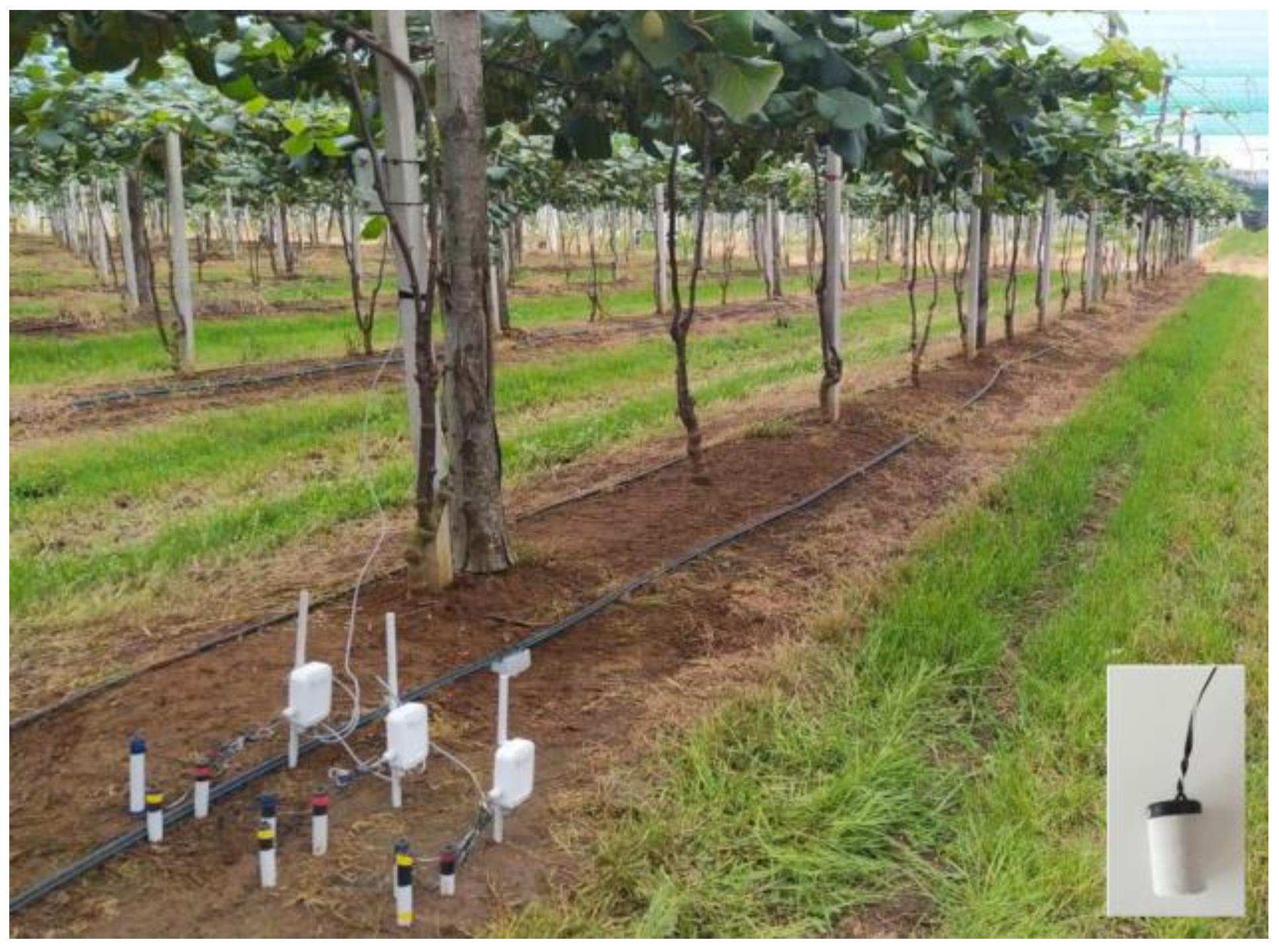 Horticulturae 09 01011 g004