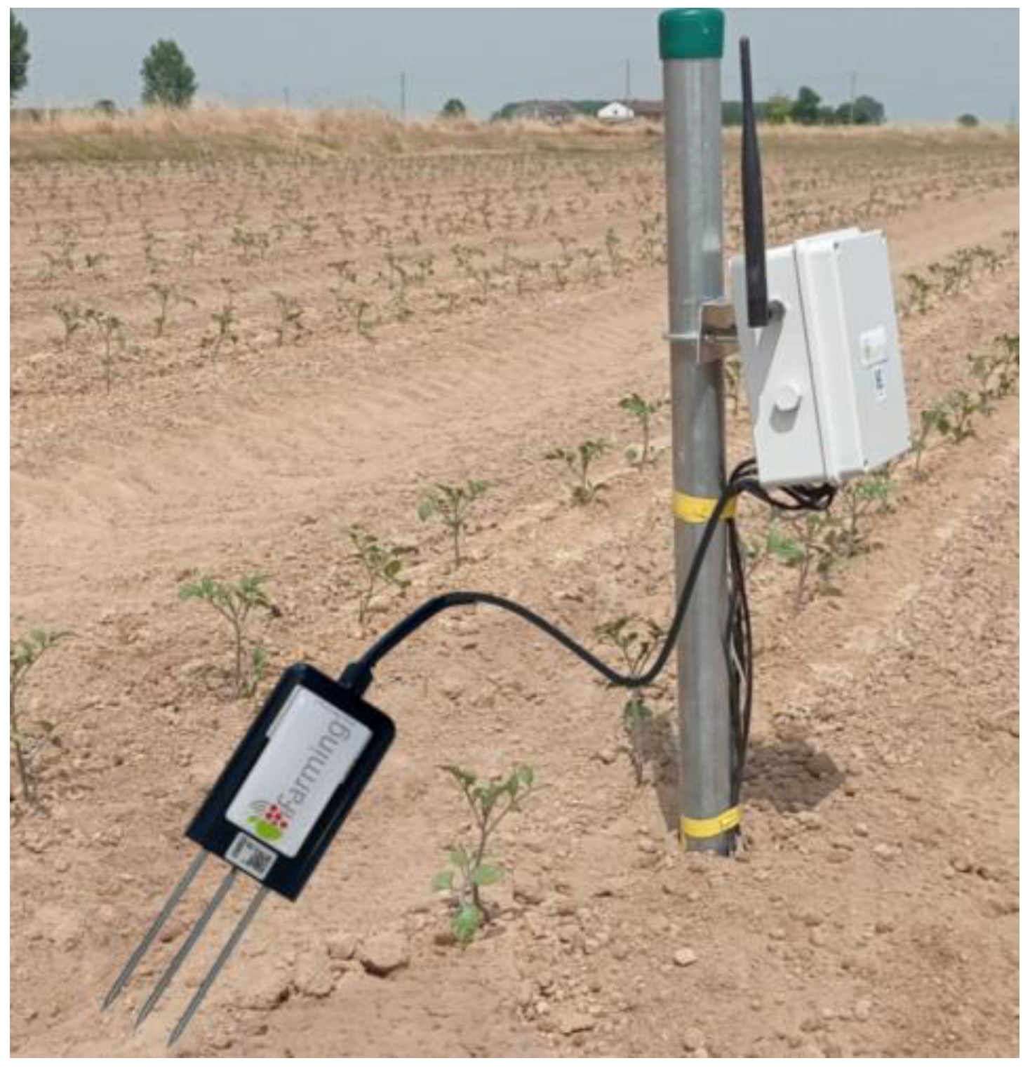 Horticulturae 09 01011 g006