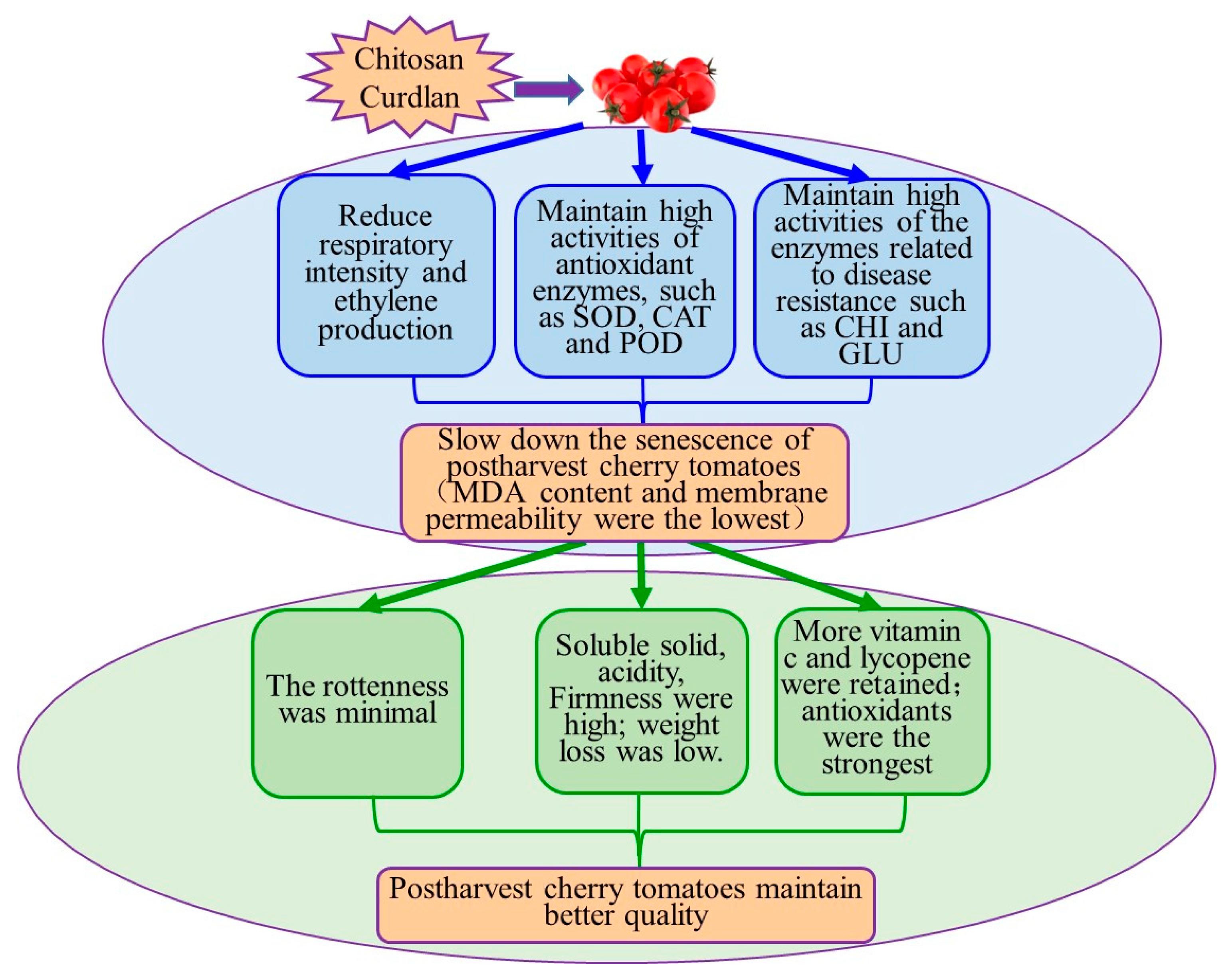 Horticulturae 09 01033 g009