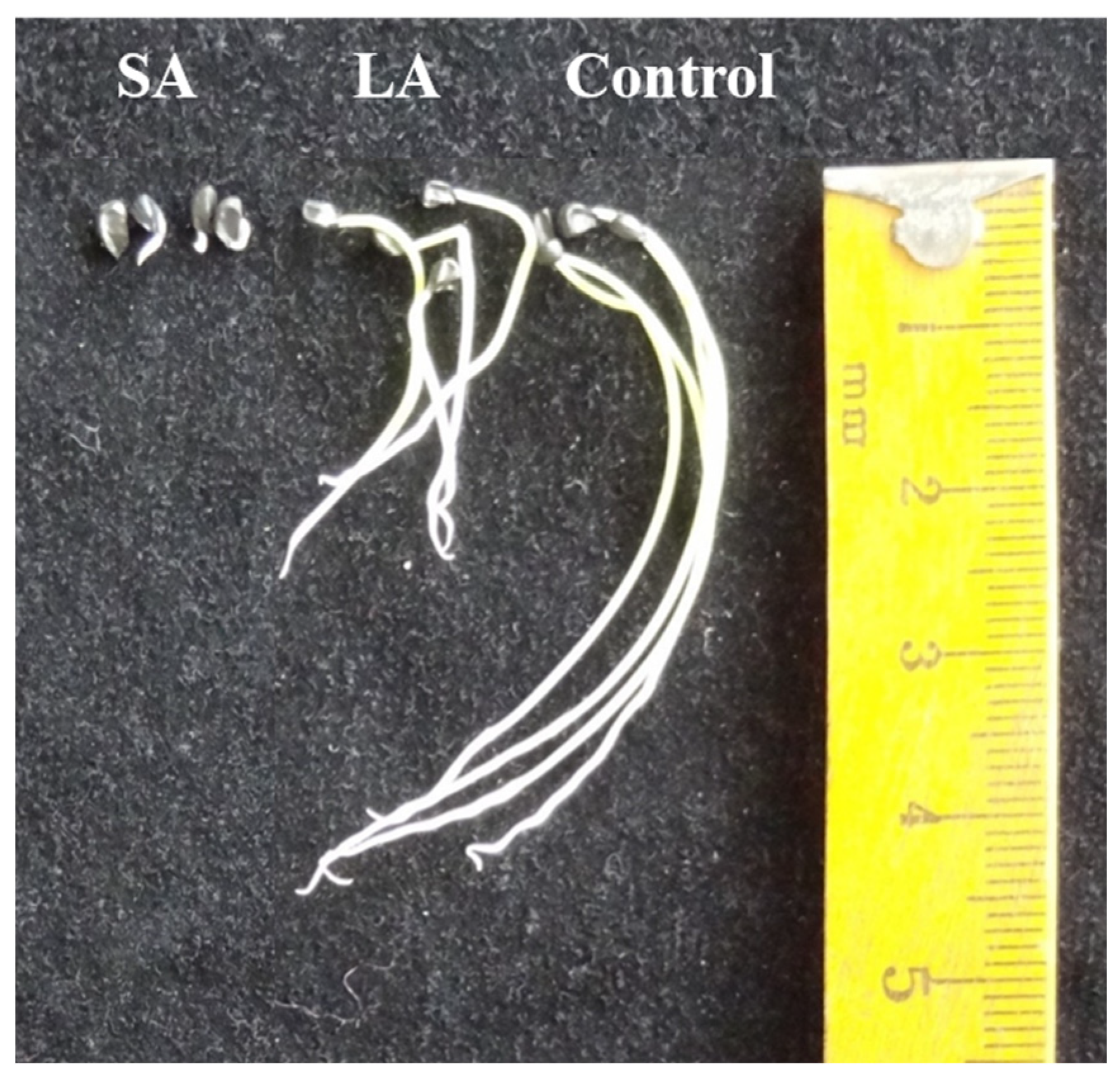 Horticulturae 09 01155 g001