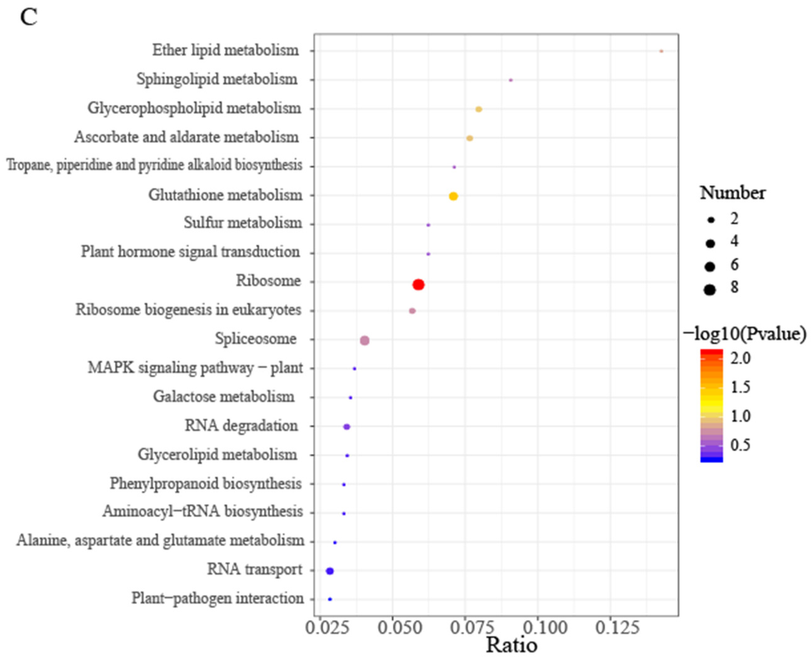 Horticulturae 09 01155 g005b