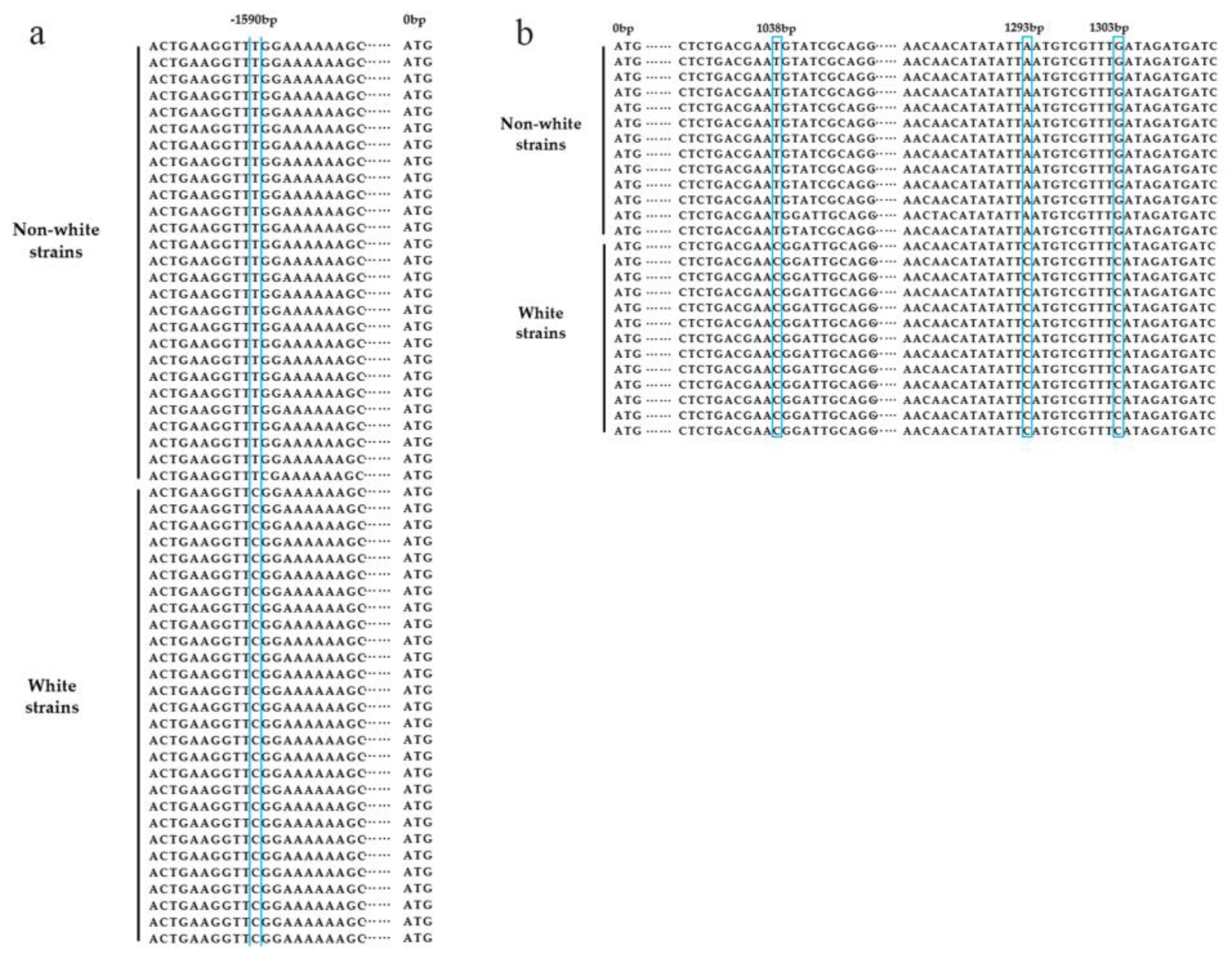 Horticulturae 09 01238 g001