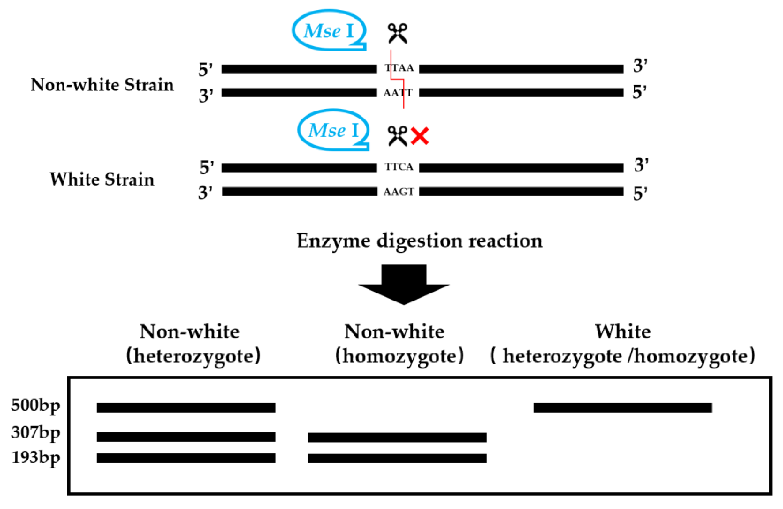 Horticulturae 09 01238 g003