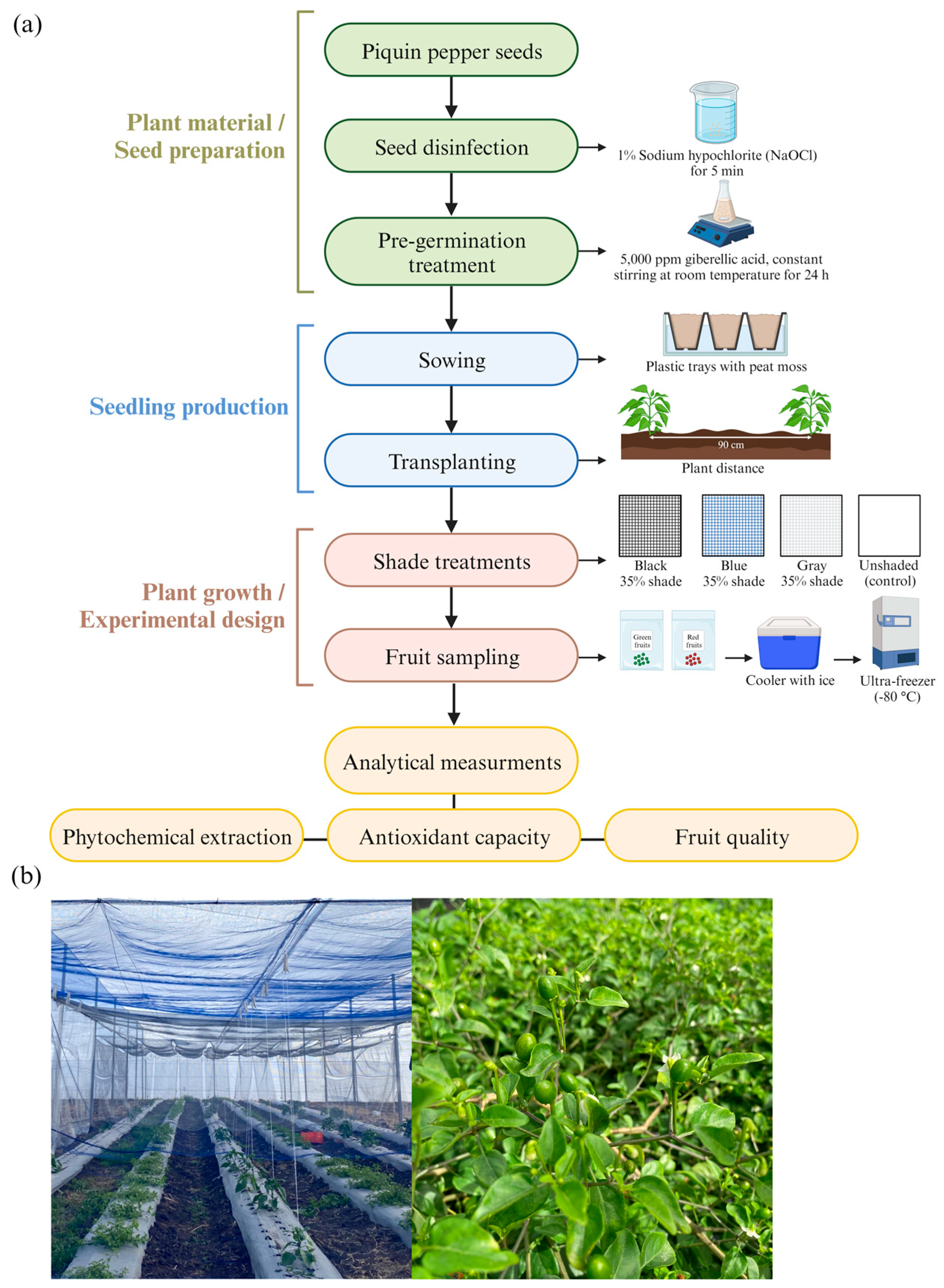 Horticulturae 09 01240 g002