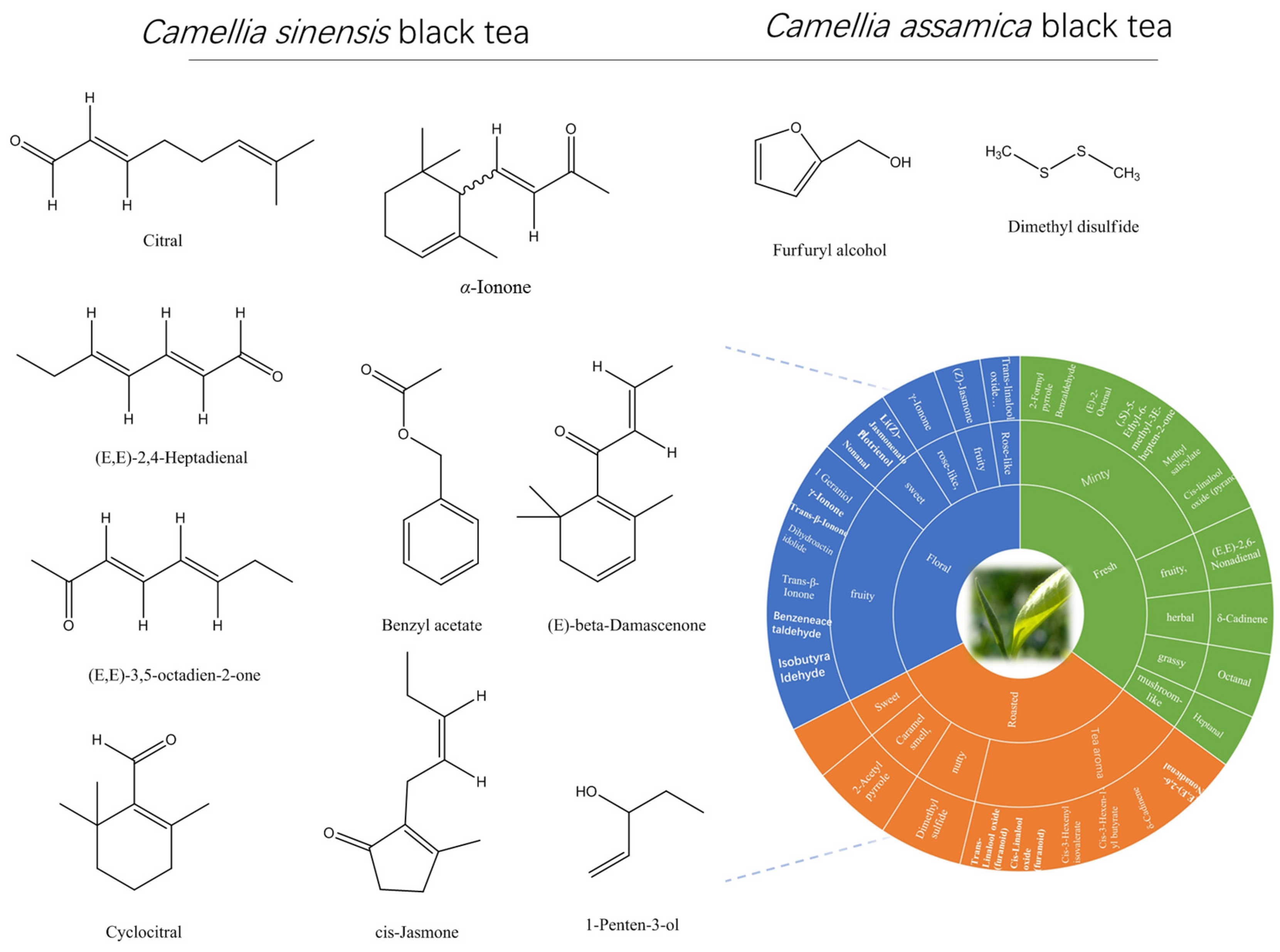 Horticulturae 09 01253 g003