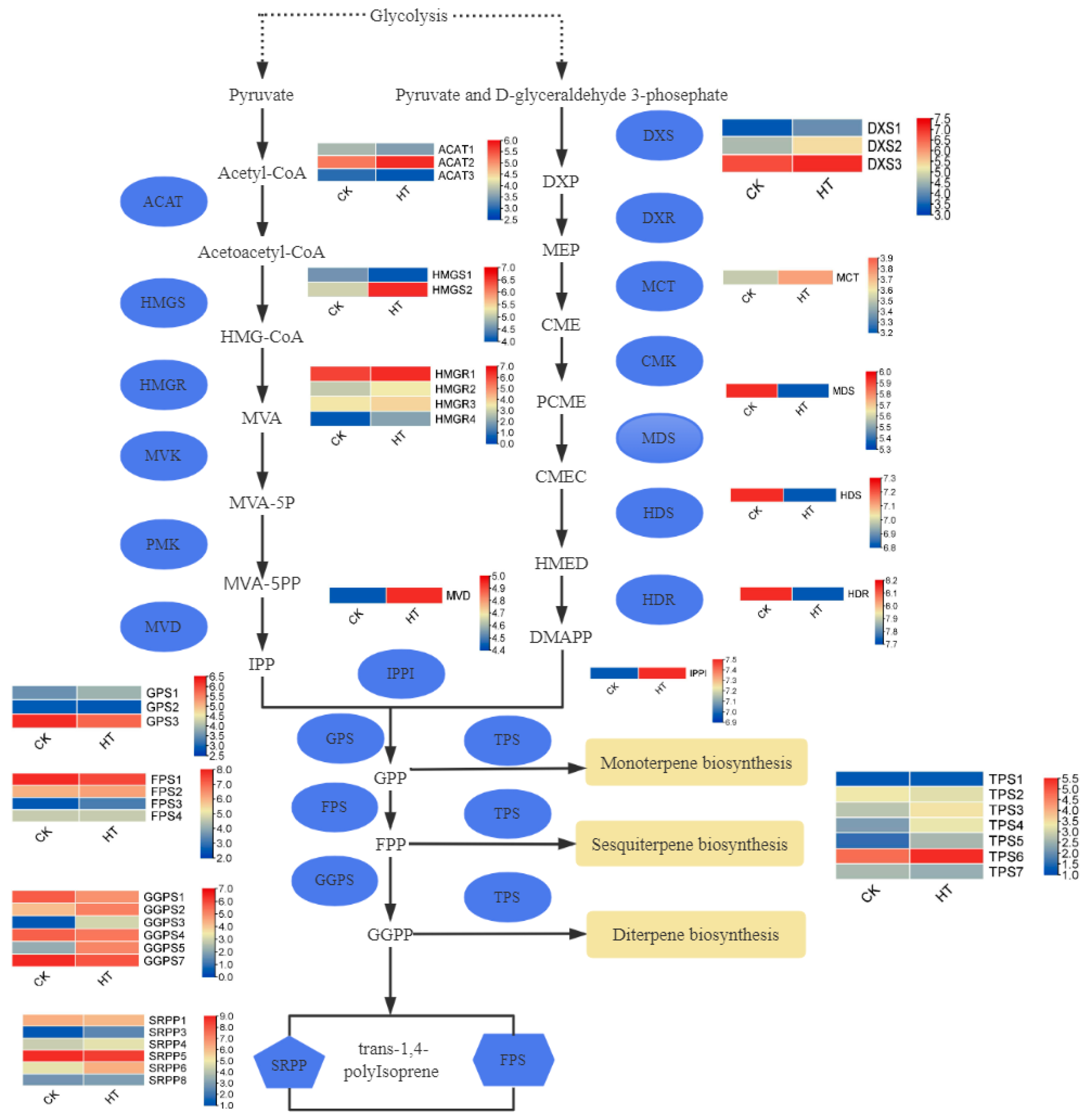 Horticulturae 09 01298 g007