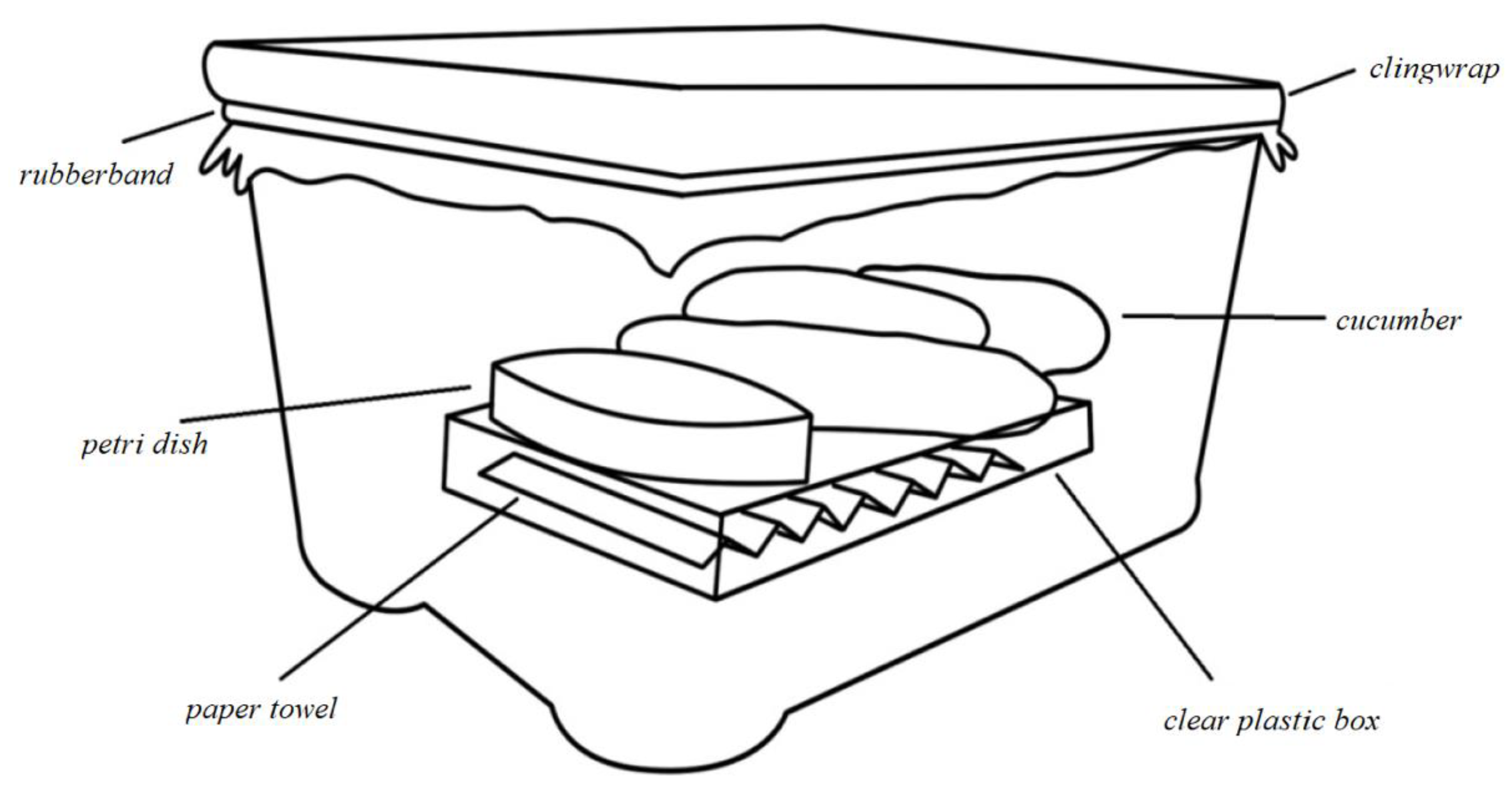 Horticulturae 09 01327 g001