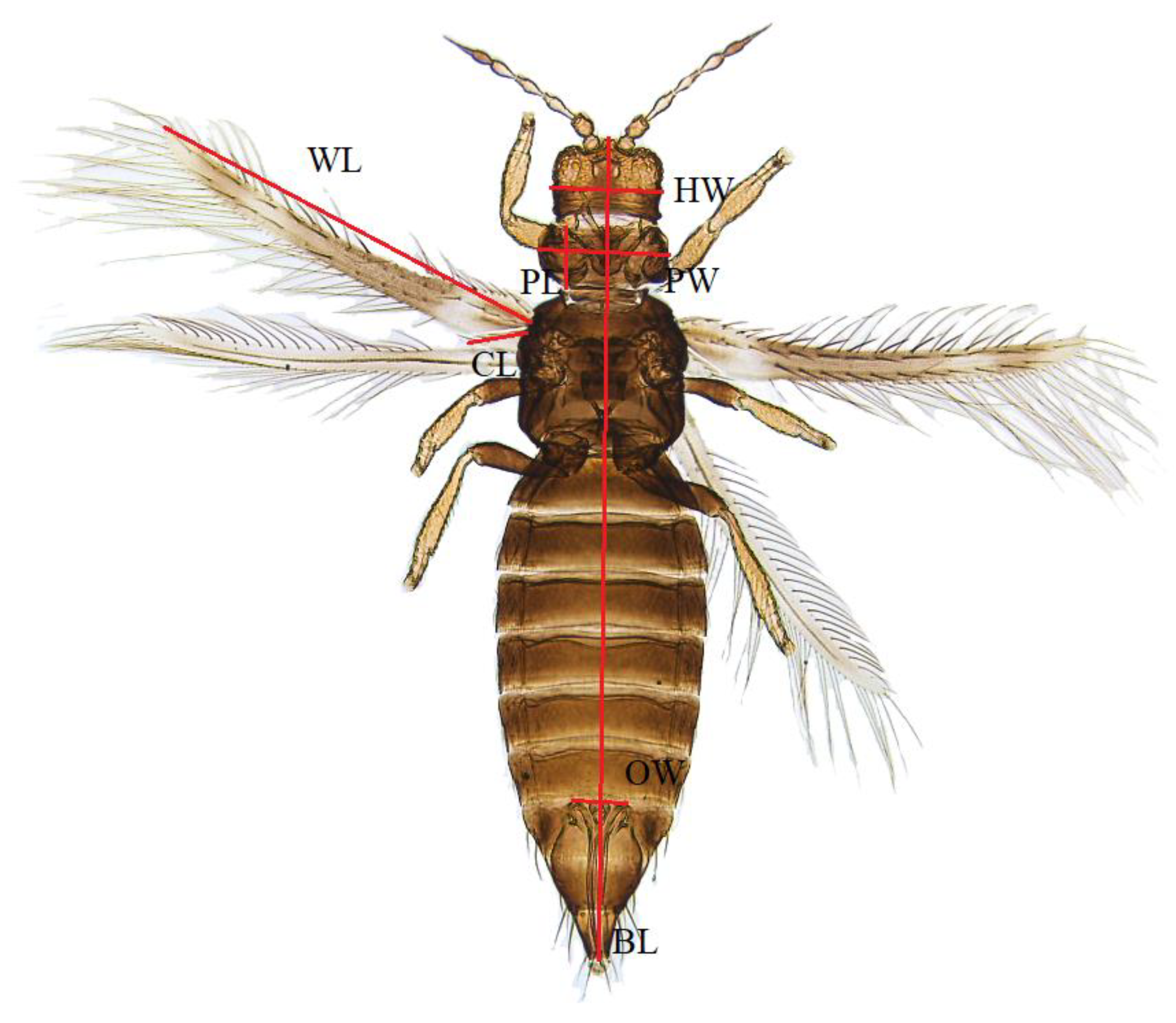 Horticulturae 09 01327 g003