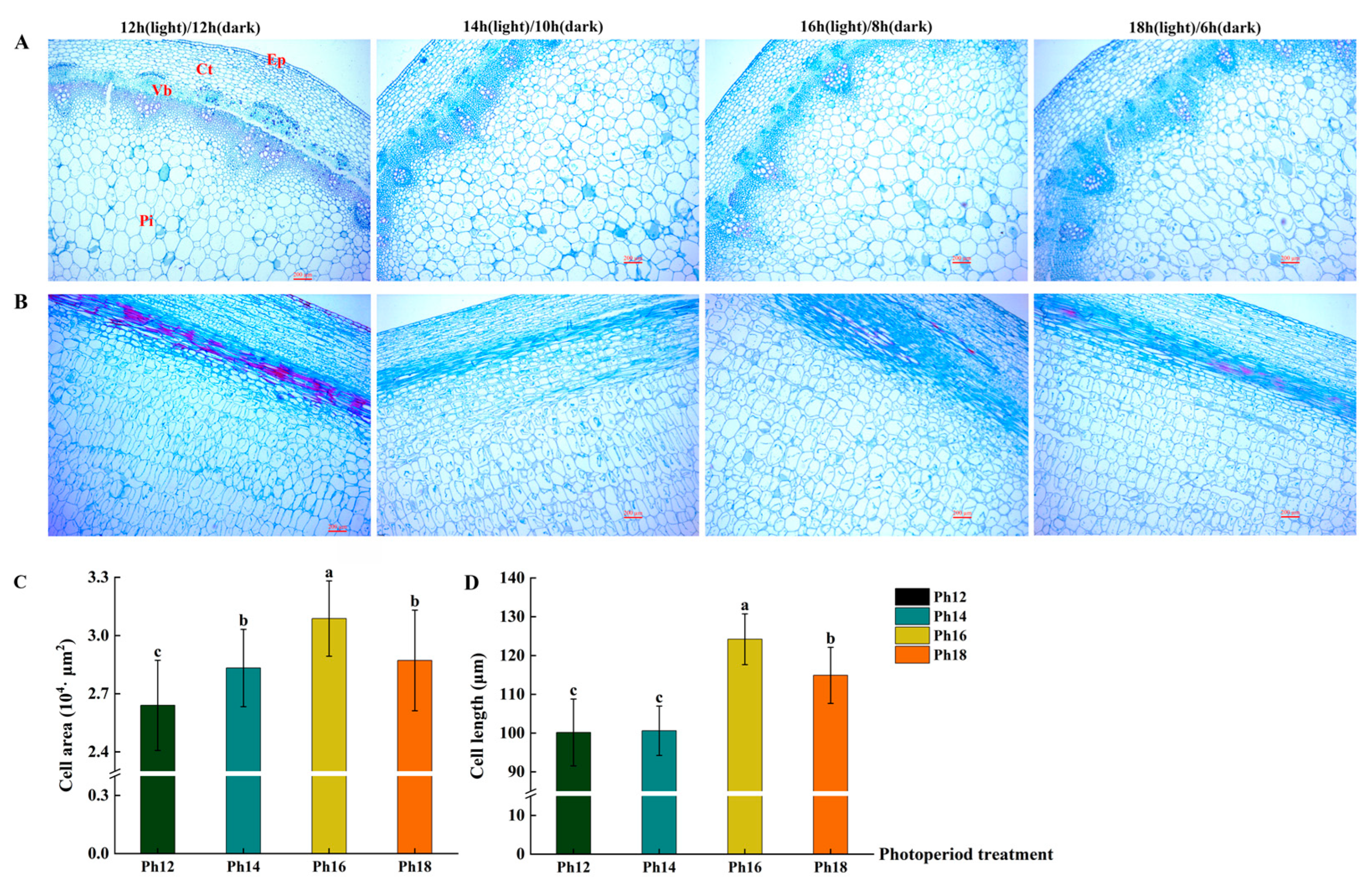 Horticulturae 09 01349 g006 Horticulturae 09 01349 g006