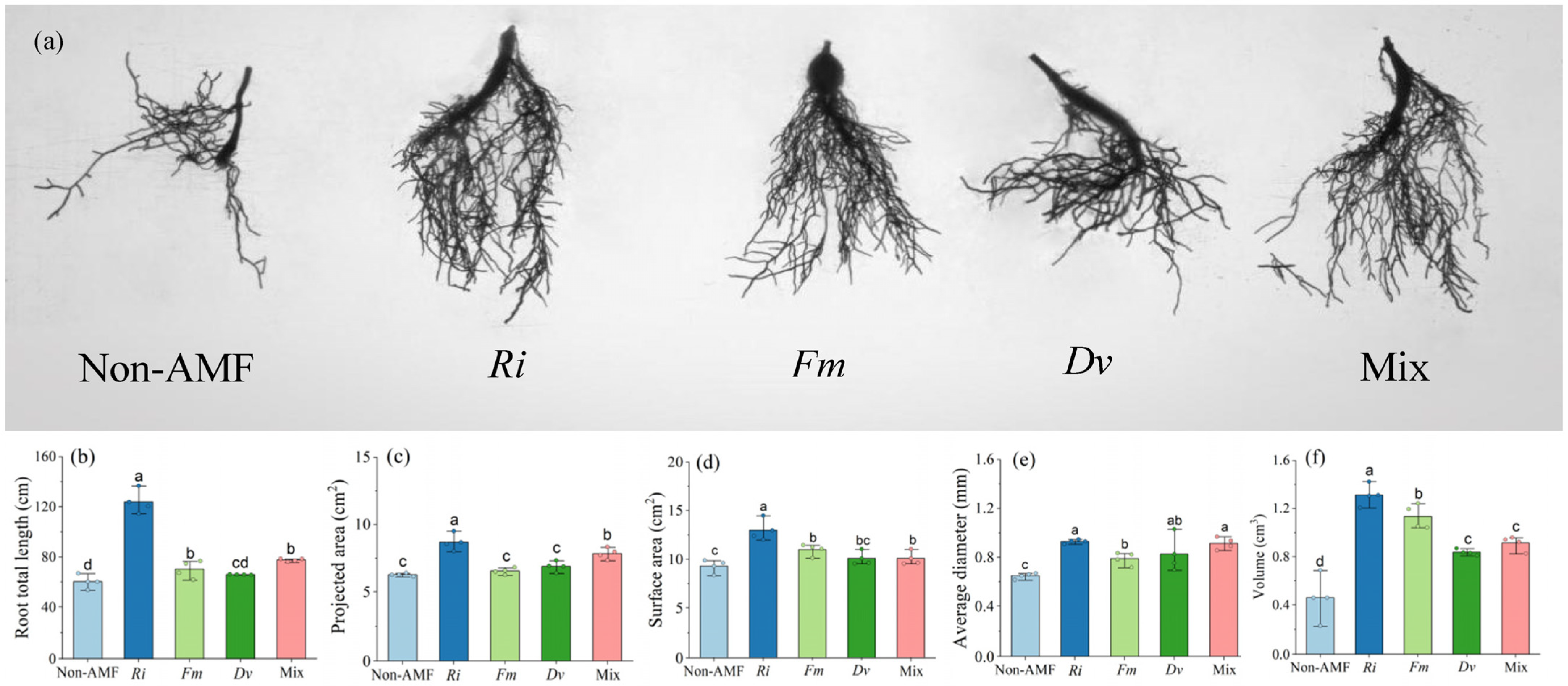 Horticulturae 09 01350 g003