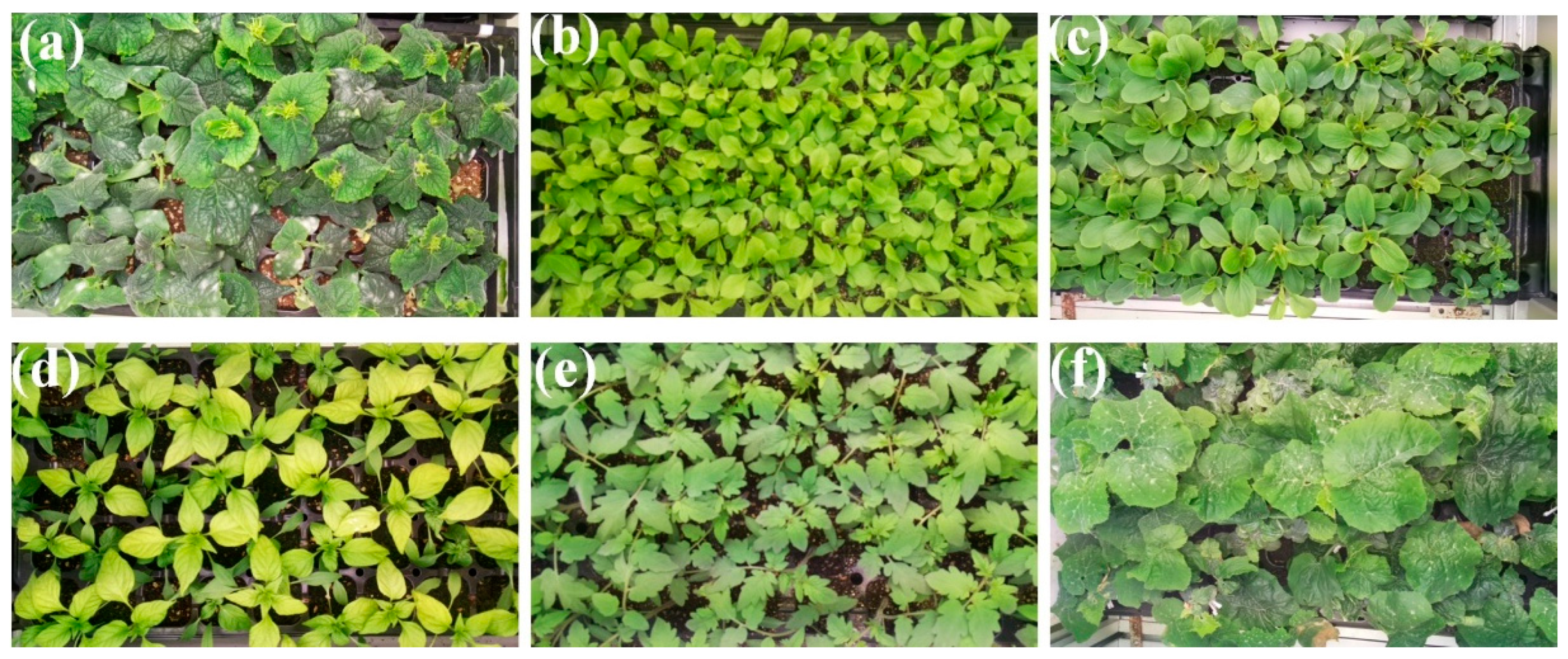 Horticulturae 10 00186 g003