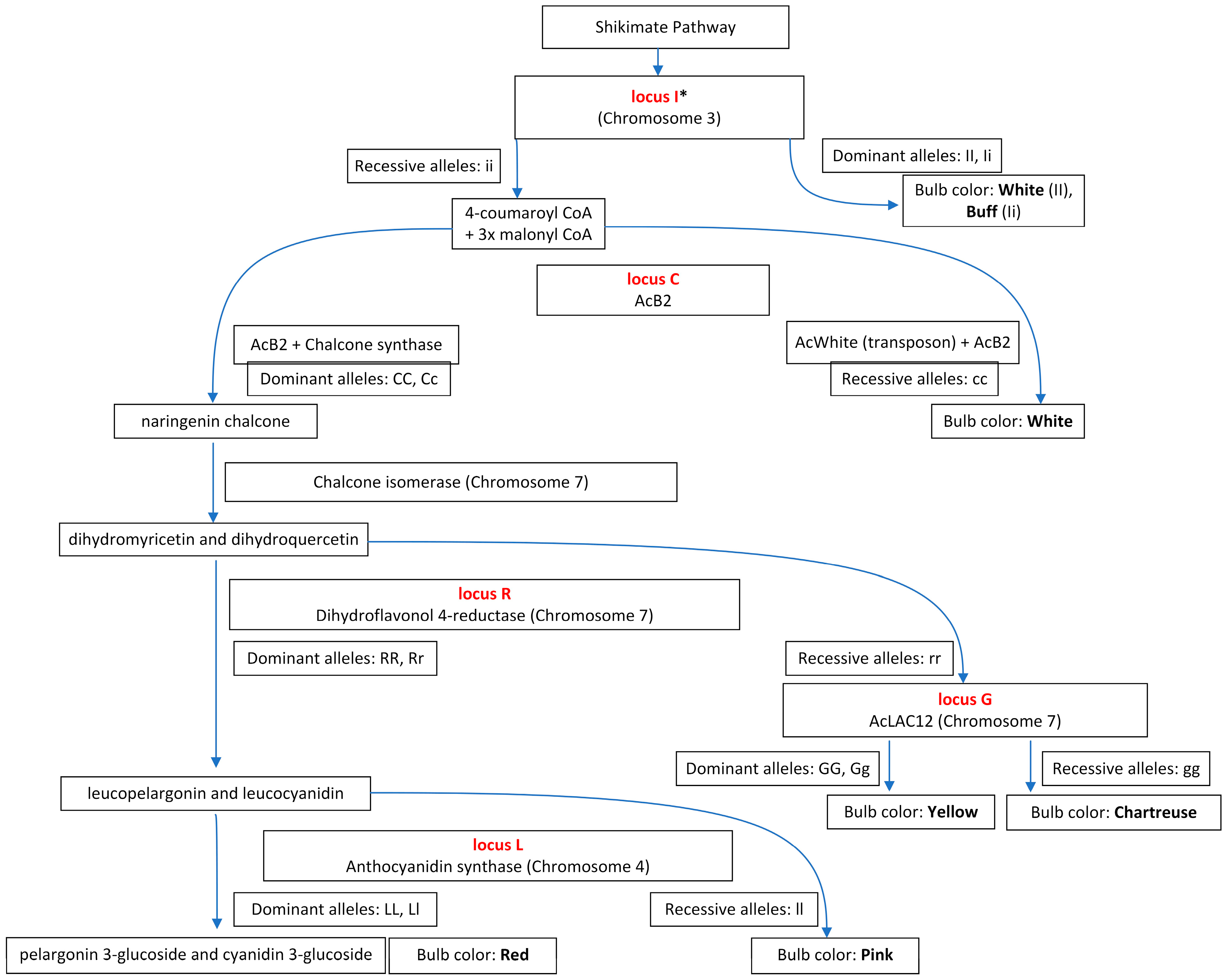 Horticulturae 10 00256 g001