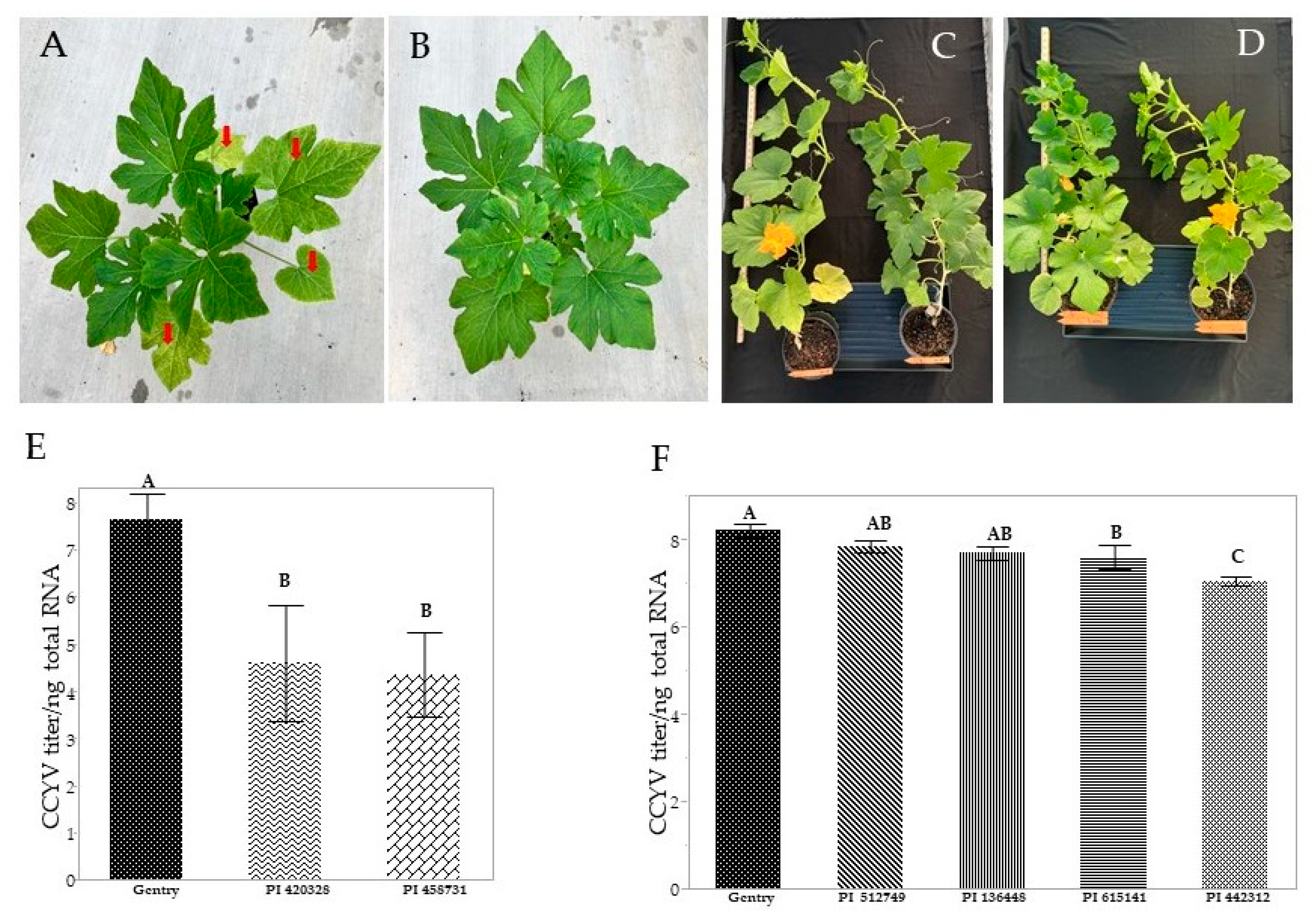 Horticulturae 10 00264 g003