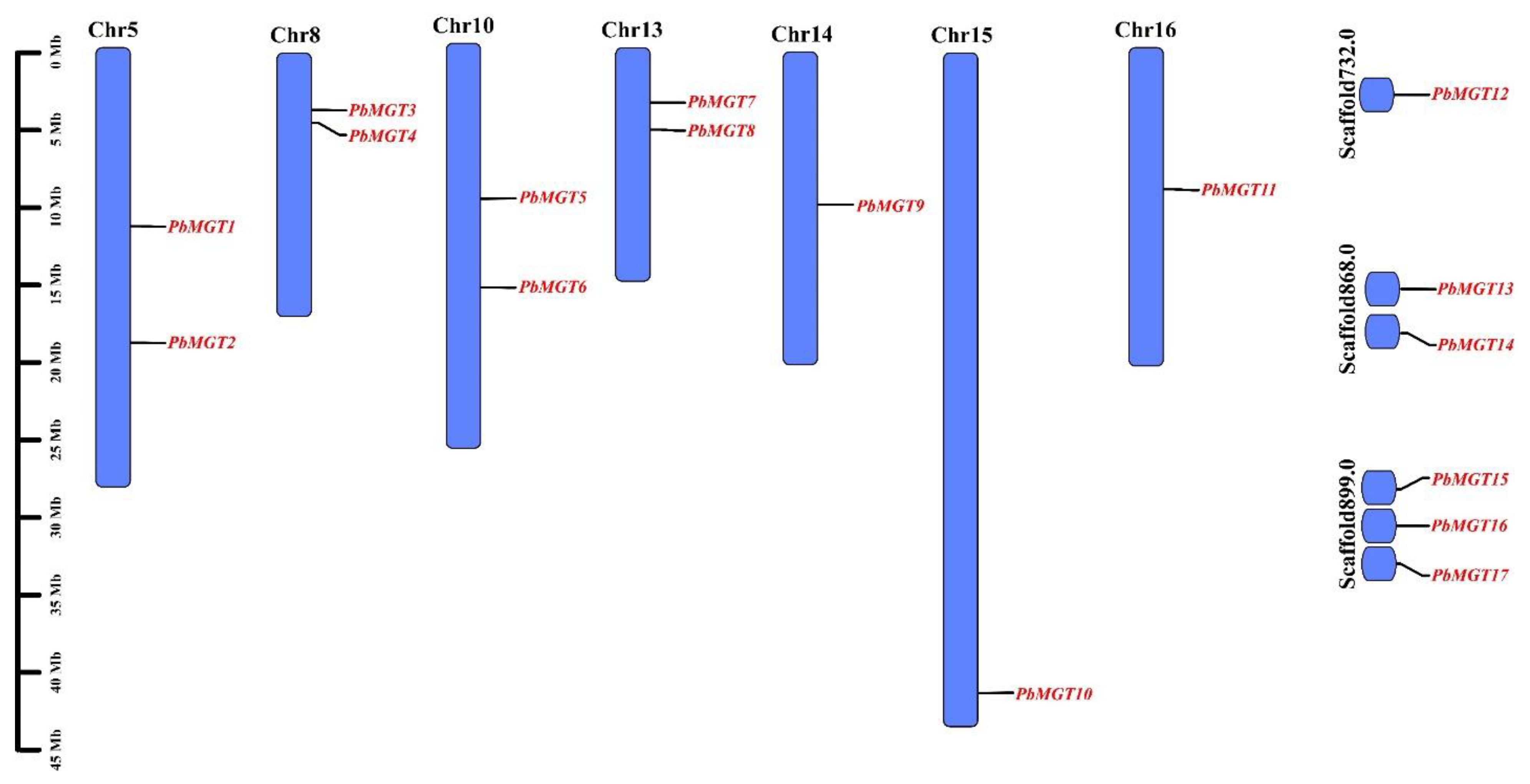 Horticulturae 10 00333 g002