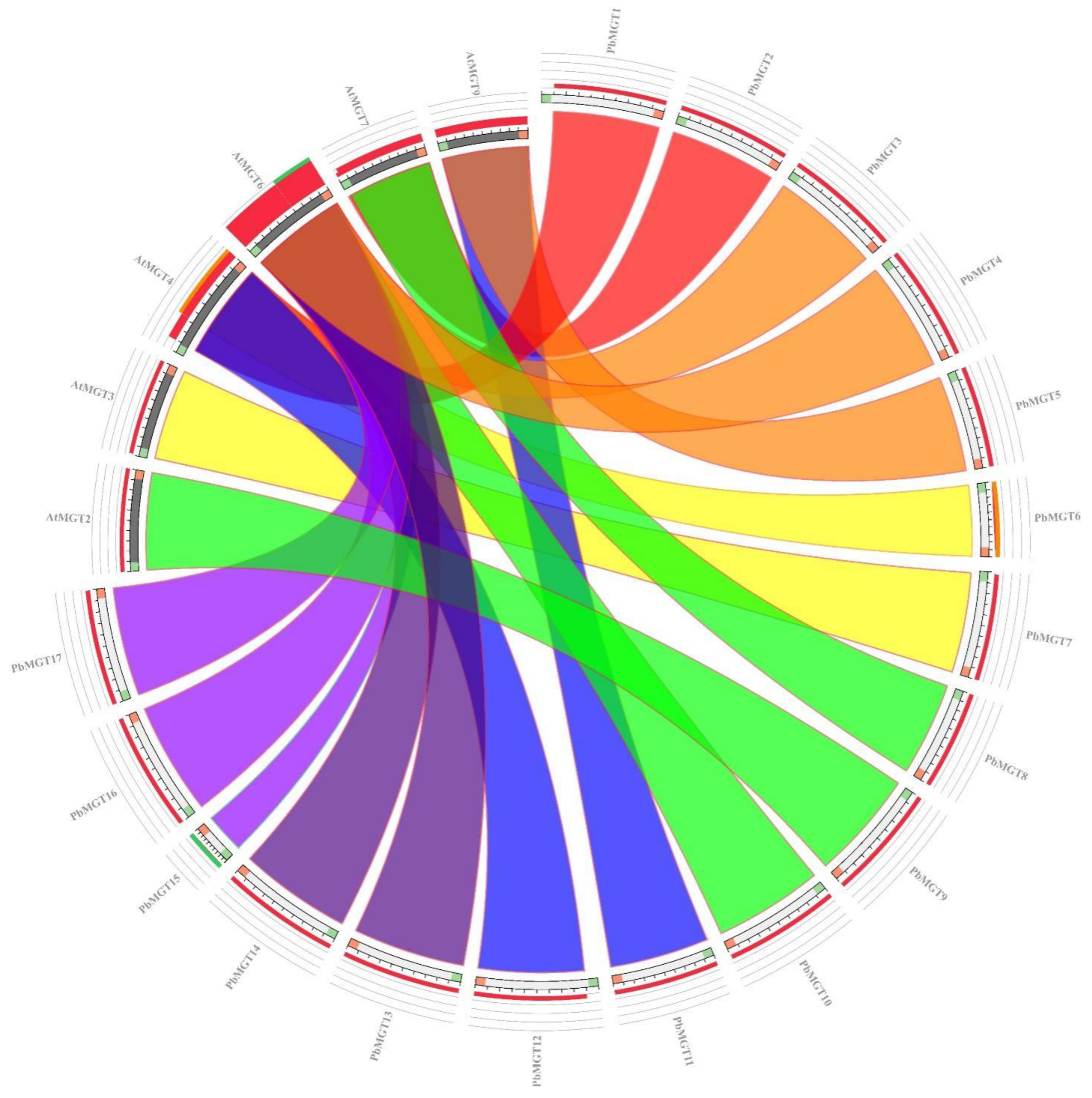 Horticulturae 10 00333 g004