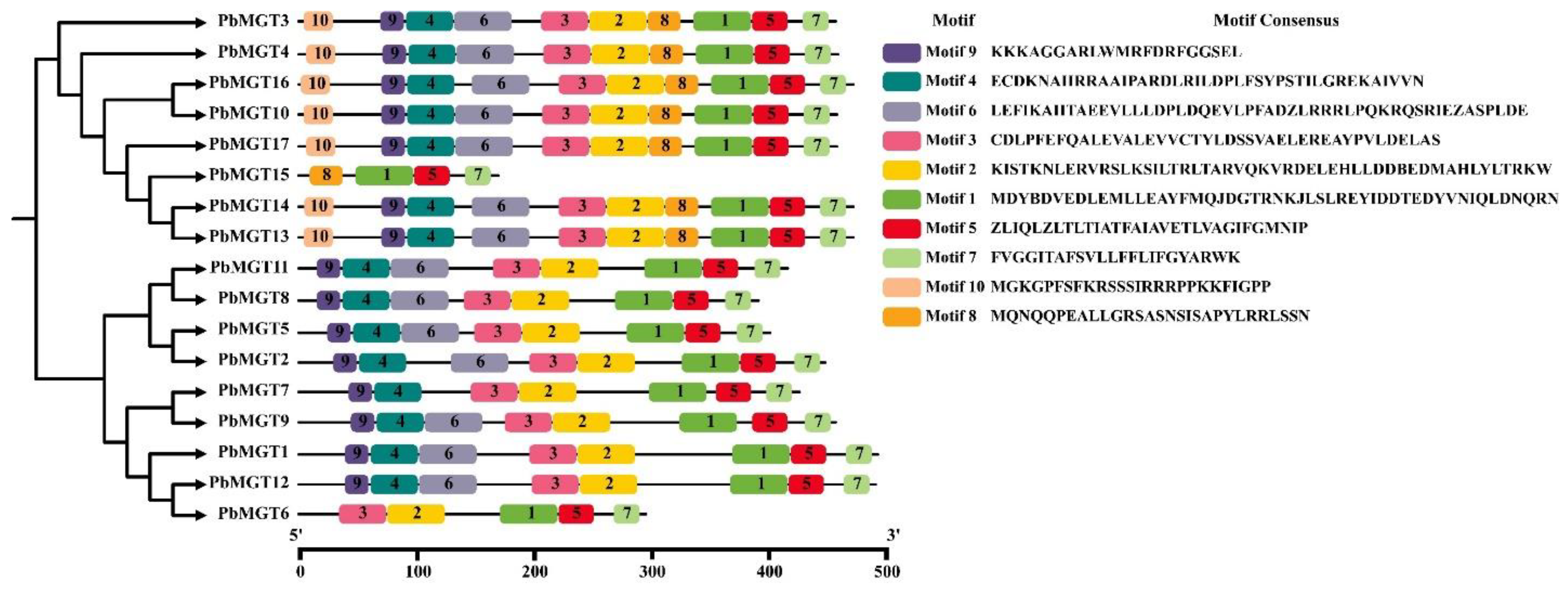 Horticulturae 10 00333 g006