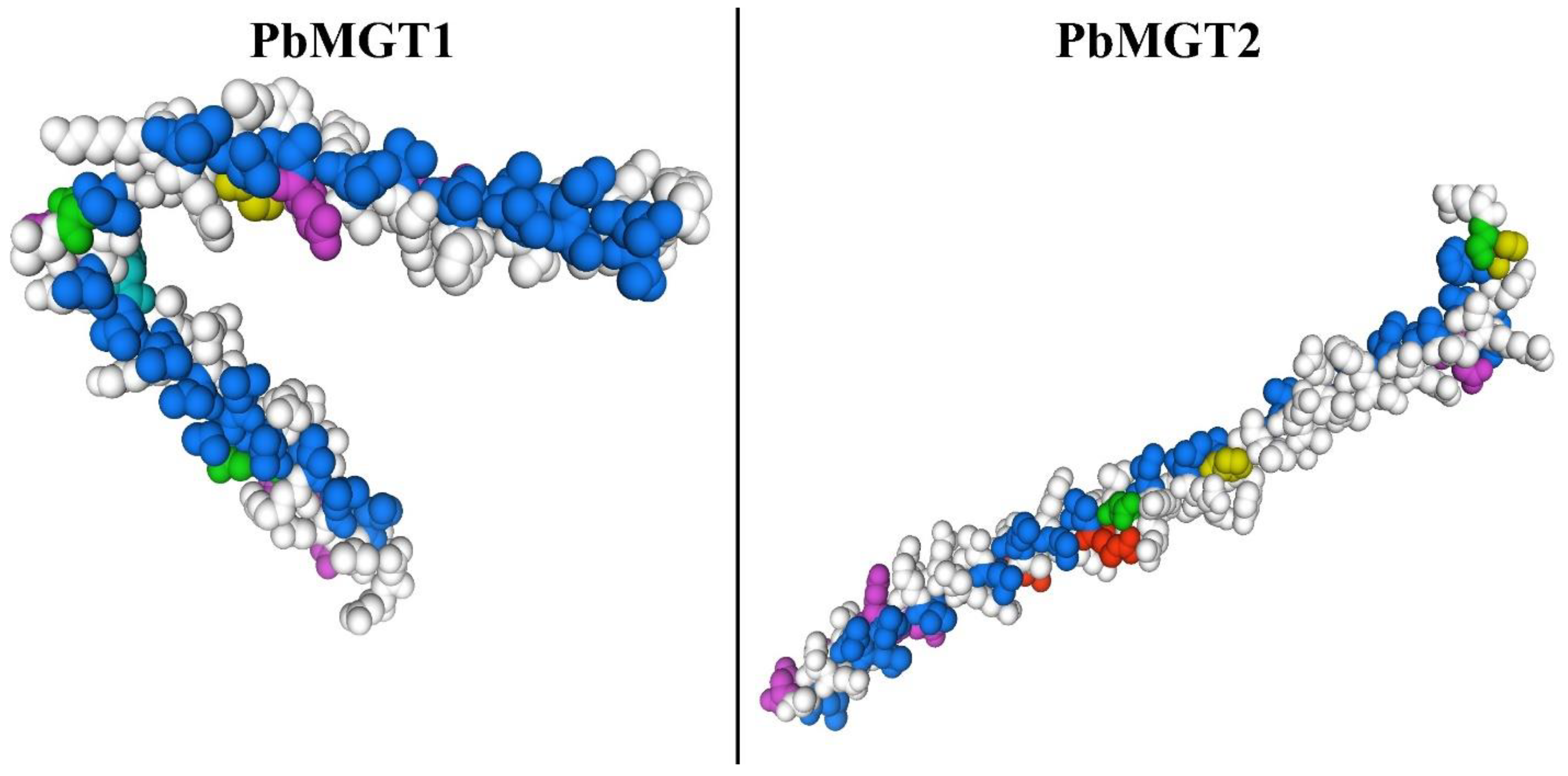 Horticulturae 10 00333 g009