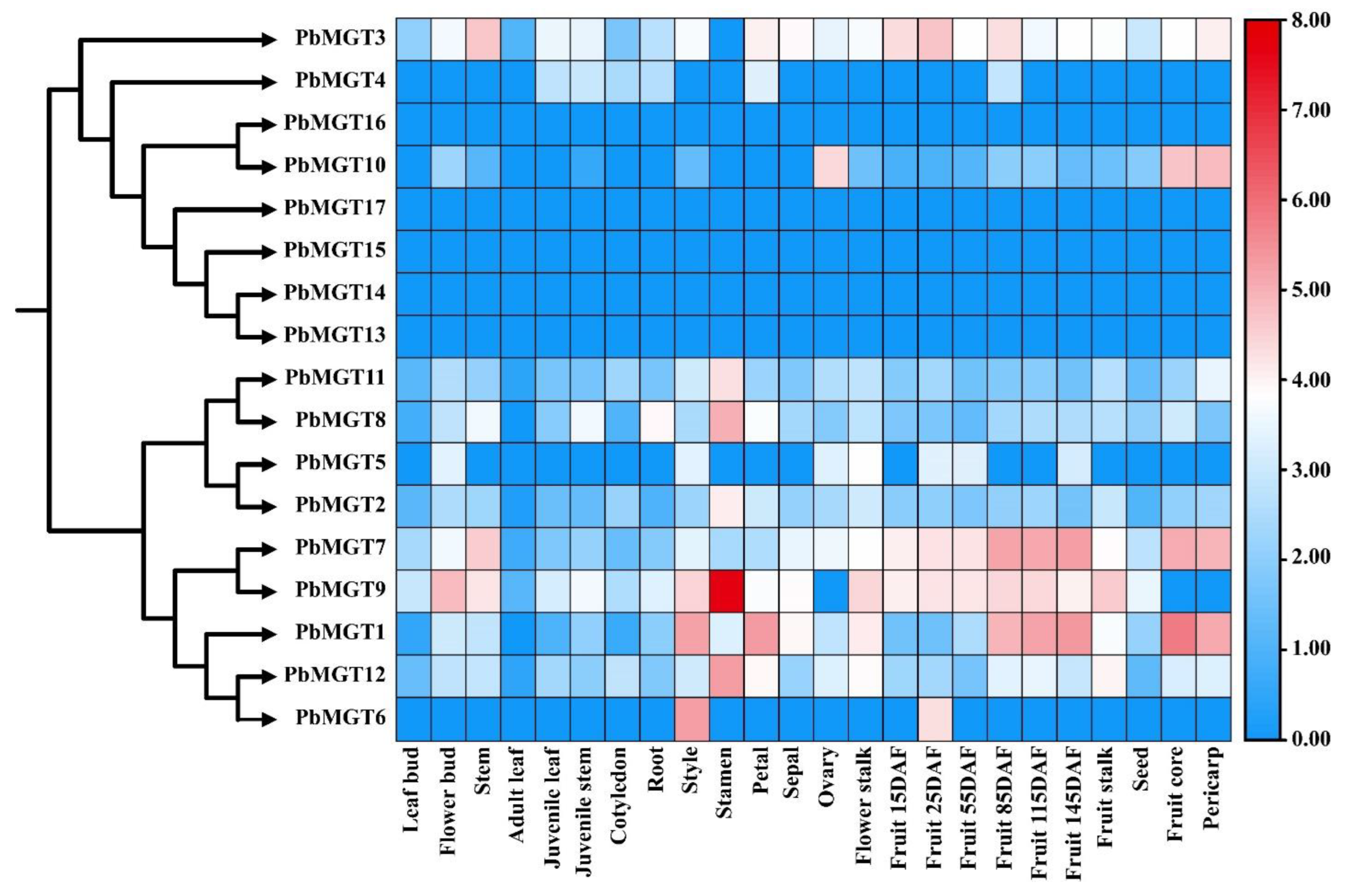 Horticulturae 10 00333 g012