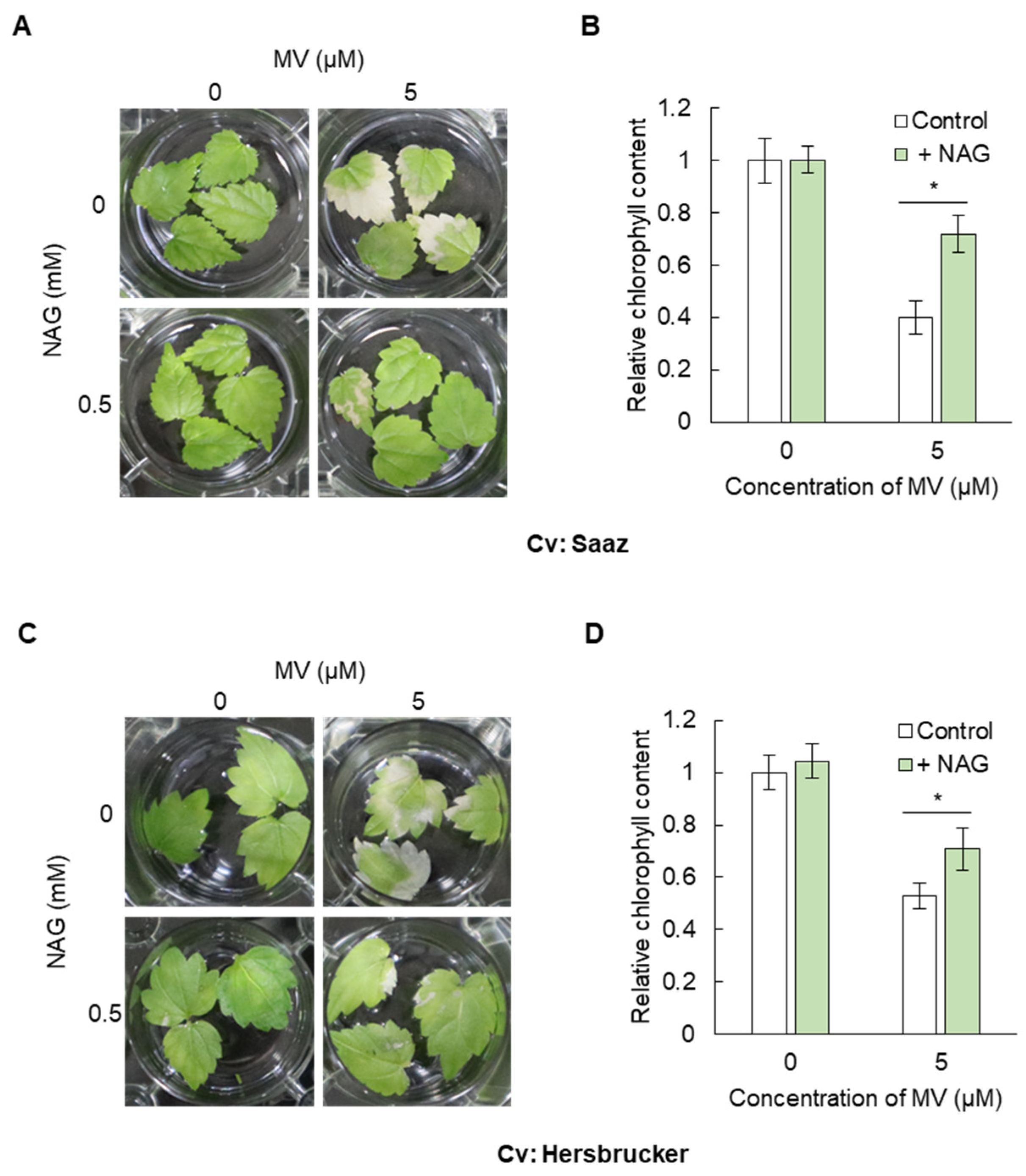 Horticulturae 10 00484 g001
