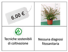 Horticulturae 10 00501 i001