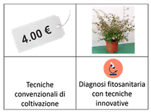 Horticulturae 10 00501 i002