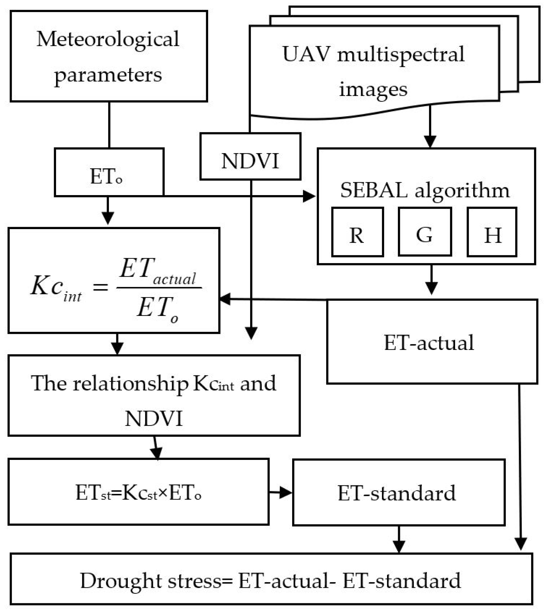Horticulturae 10 00515 g003