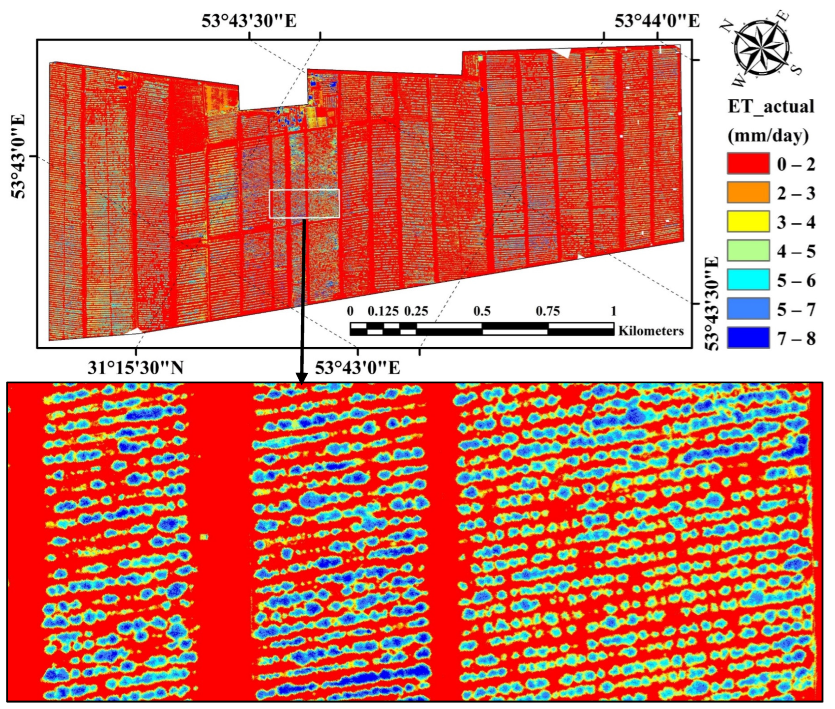 Horticulturae 10 00515 g004