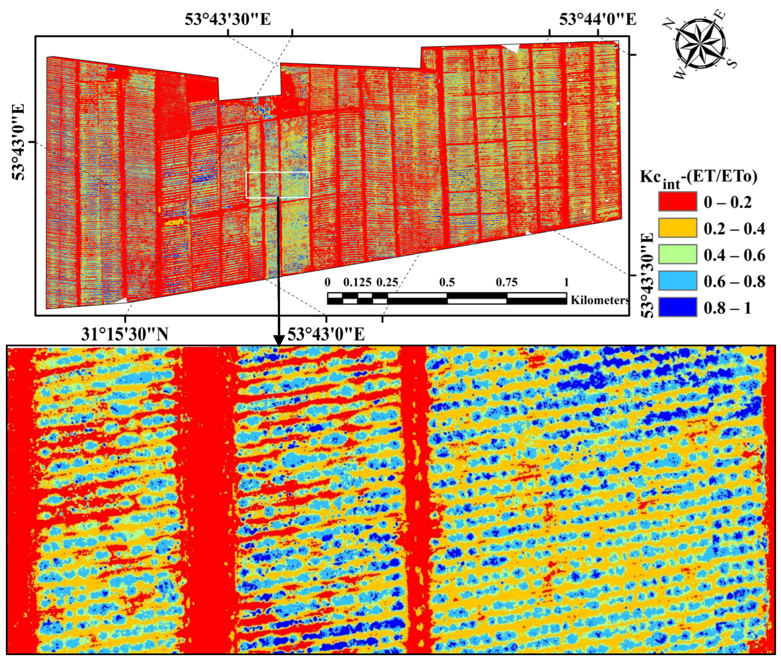 Horticulturae 10 00515 g005