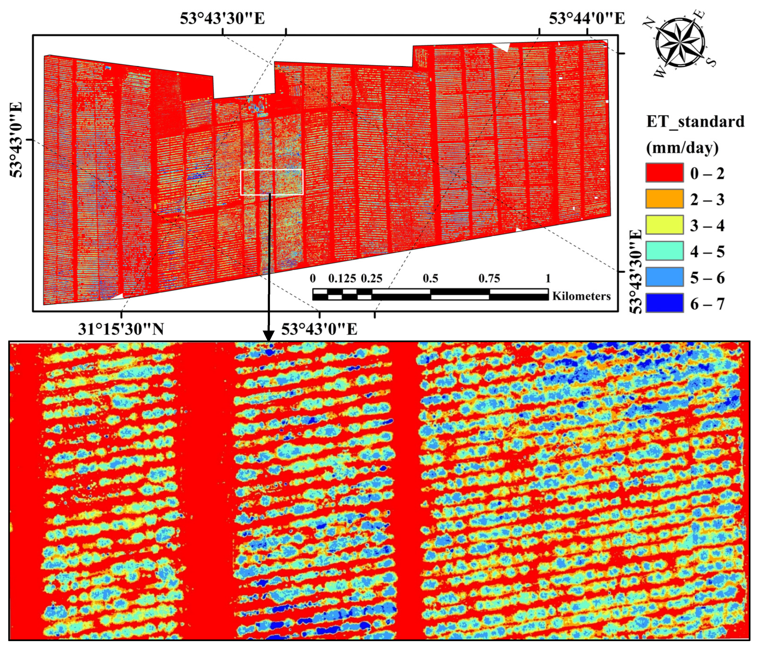 Horticulturae 10 00515 g007
