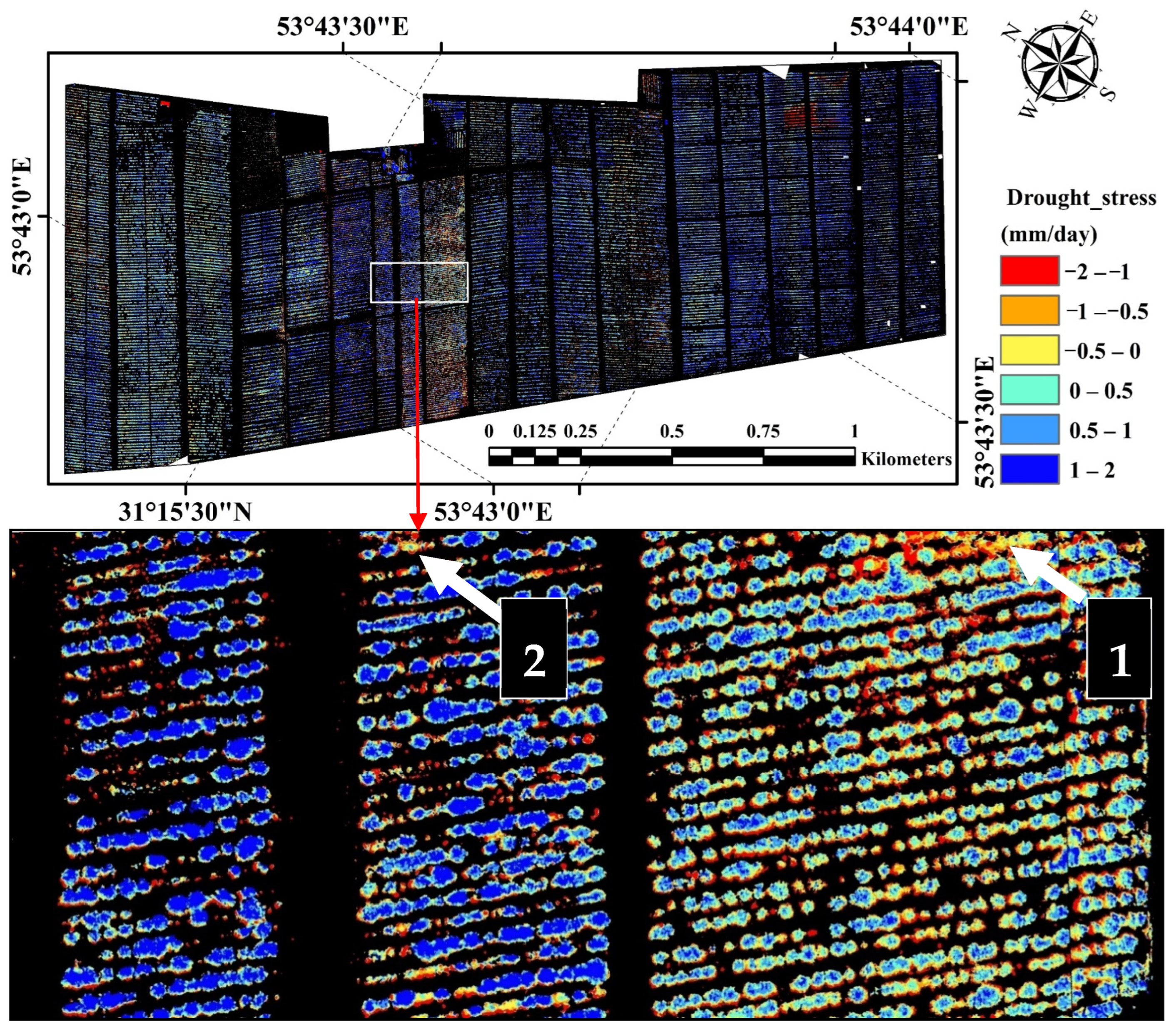 Horticulturae 10 00515 g008