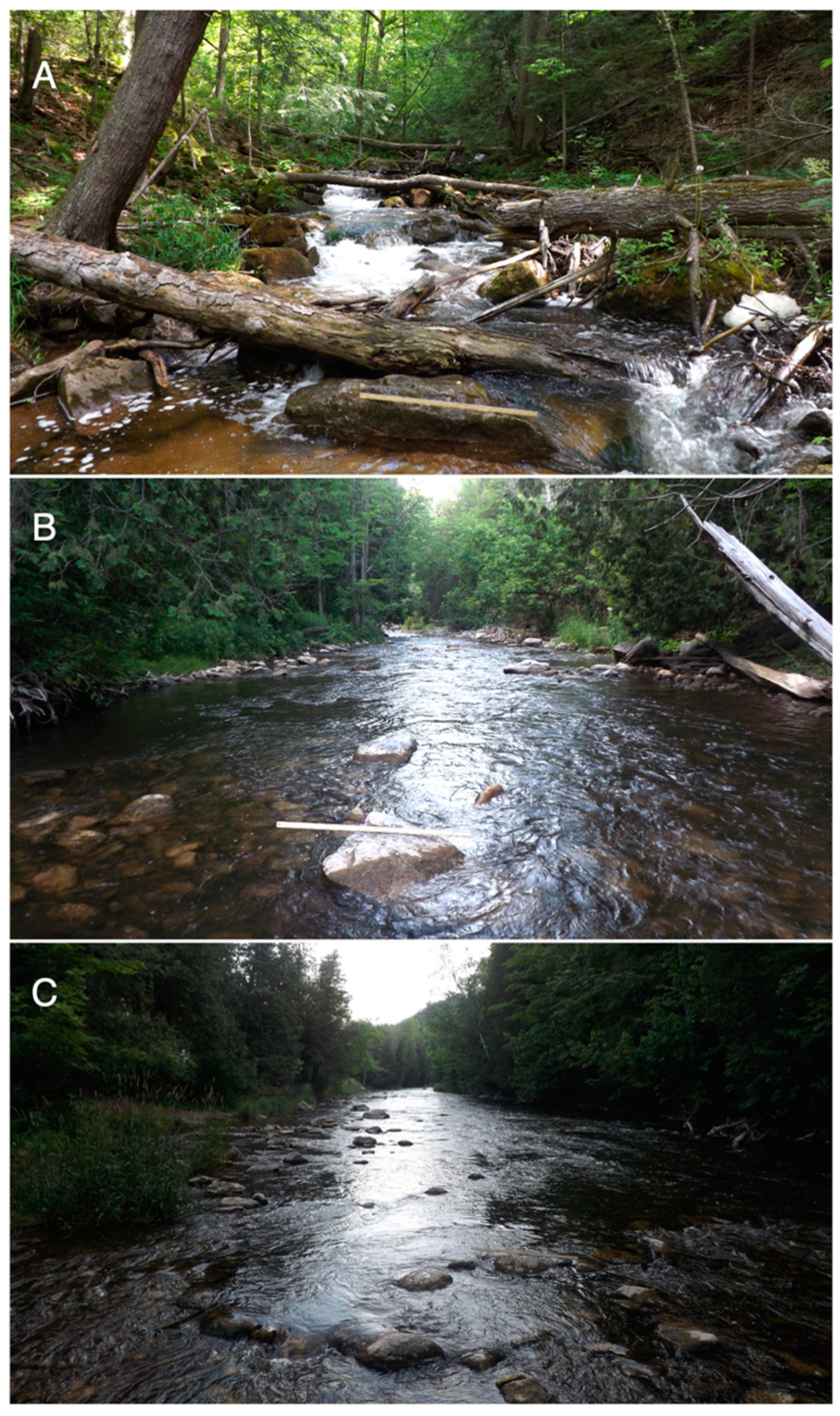 Hydrobiology 02 00034 g002