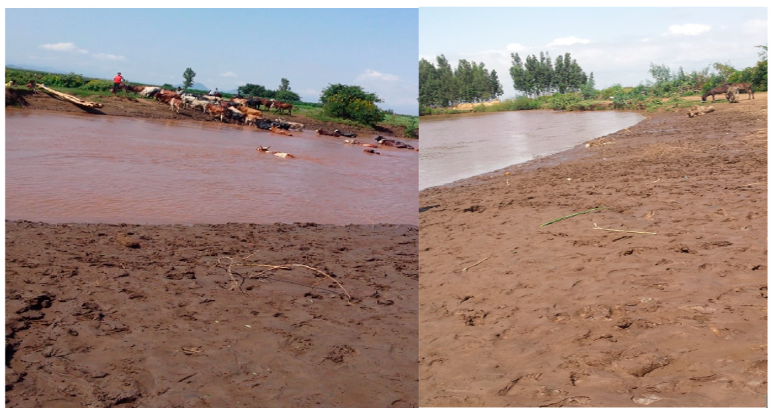 Hydrology 06 00001 g005