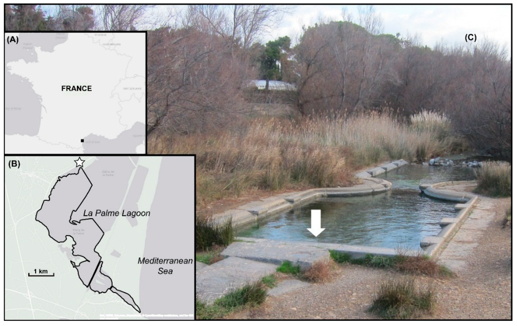 Hydrology 06 00045 g001