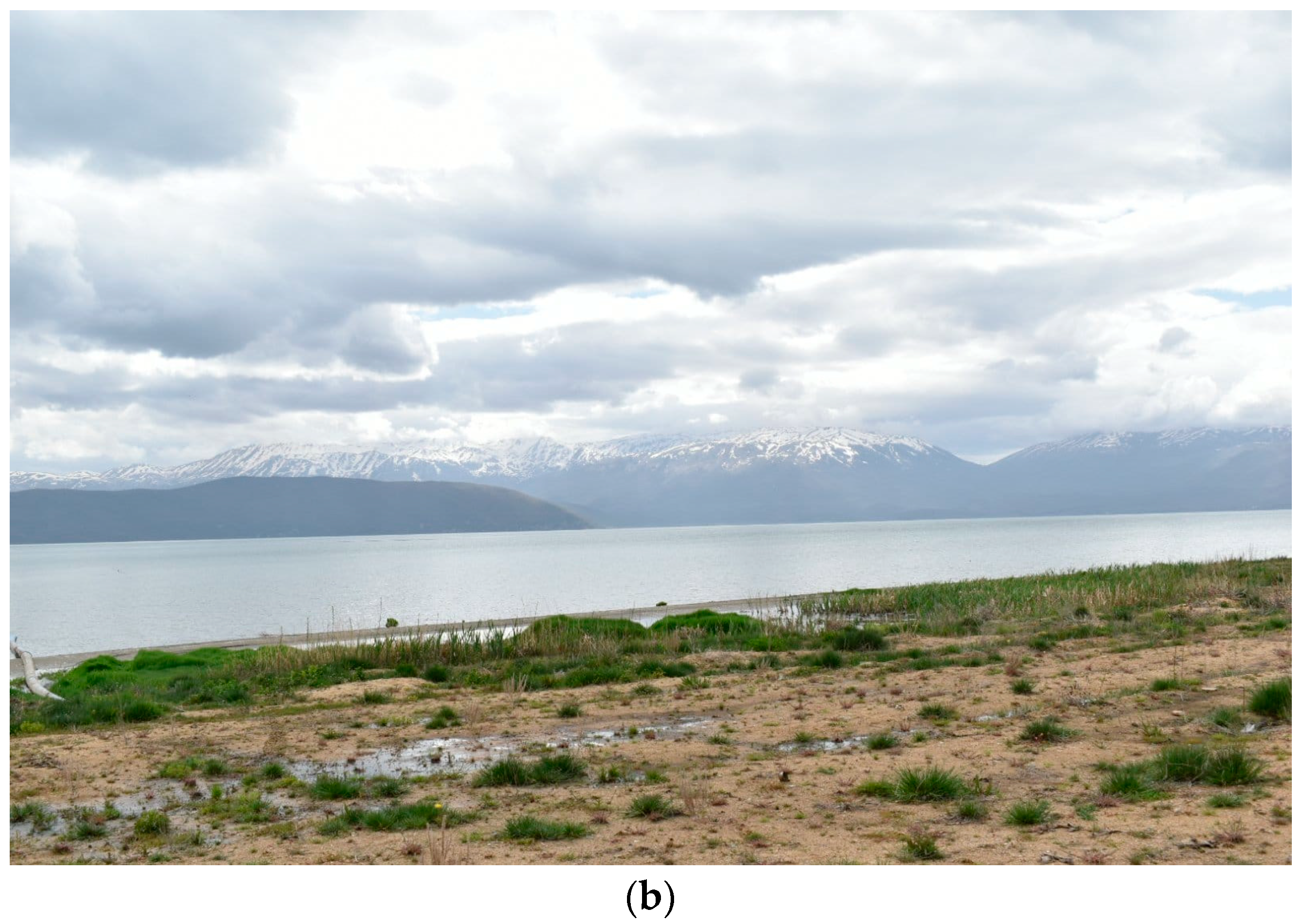 Hydrology 09 00099 g001b