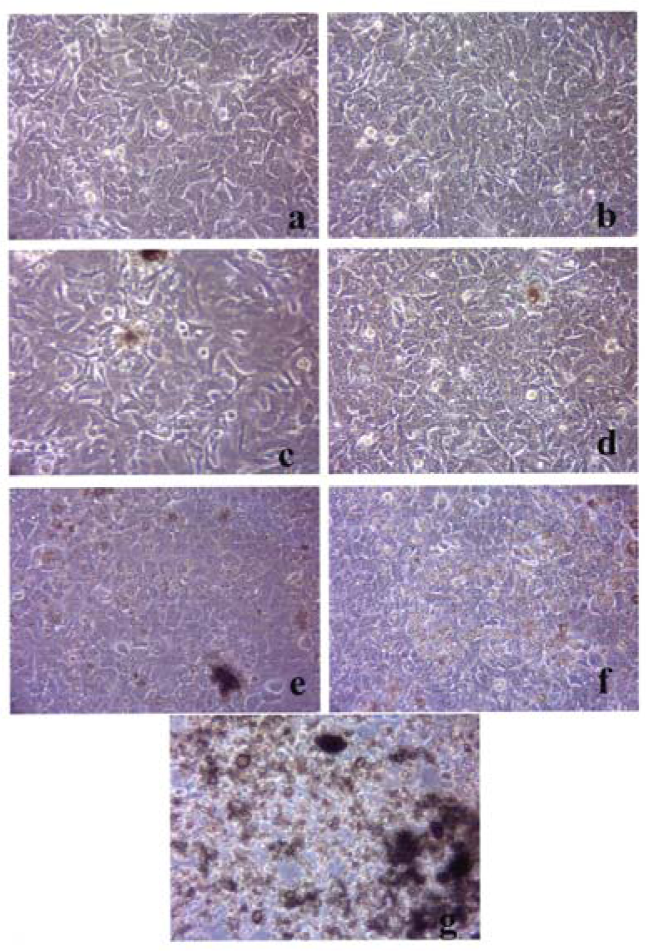 Ijerph 05 00012f3 1024