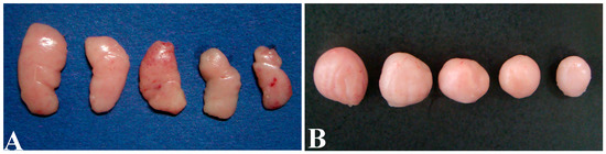 Pathological Impairment, Cell Cycle Arrest and Apoptosis of Thymus and Bursa of Fabricius Induced by Aflatoxin-Contaminated Corn in Broilers Pathological Impairment, Cell Cycle Arrest and Apoptosis of Thymus and Bursa of Fabricius Induced by Aflatoxin-Contaminated Corn in Broilers
