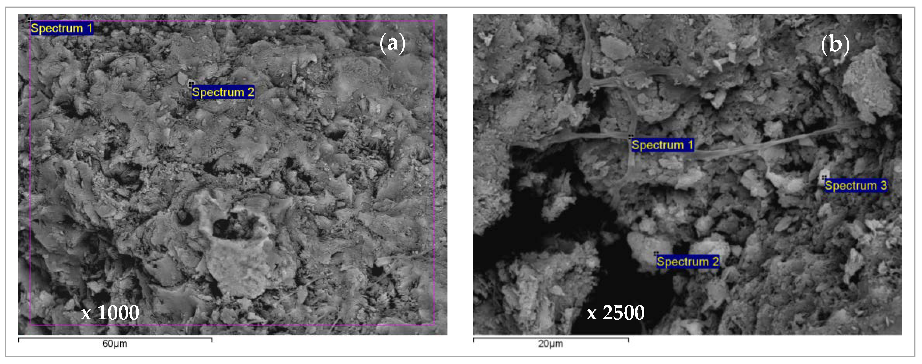 Ijerph 16 00426 g017