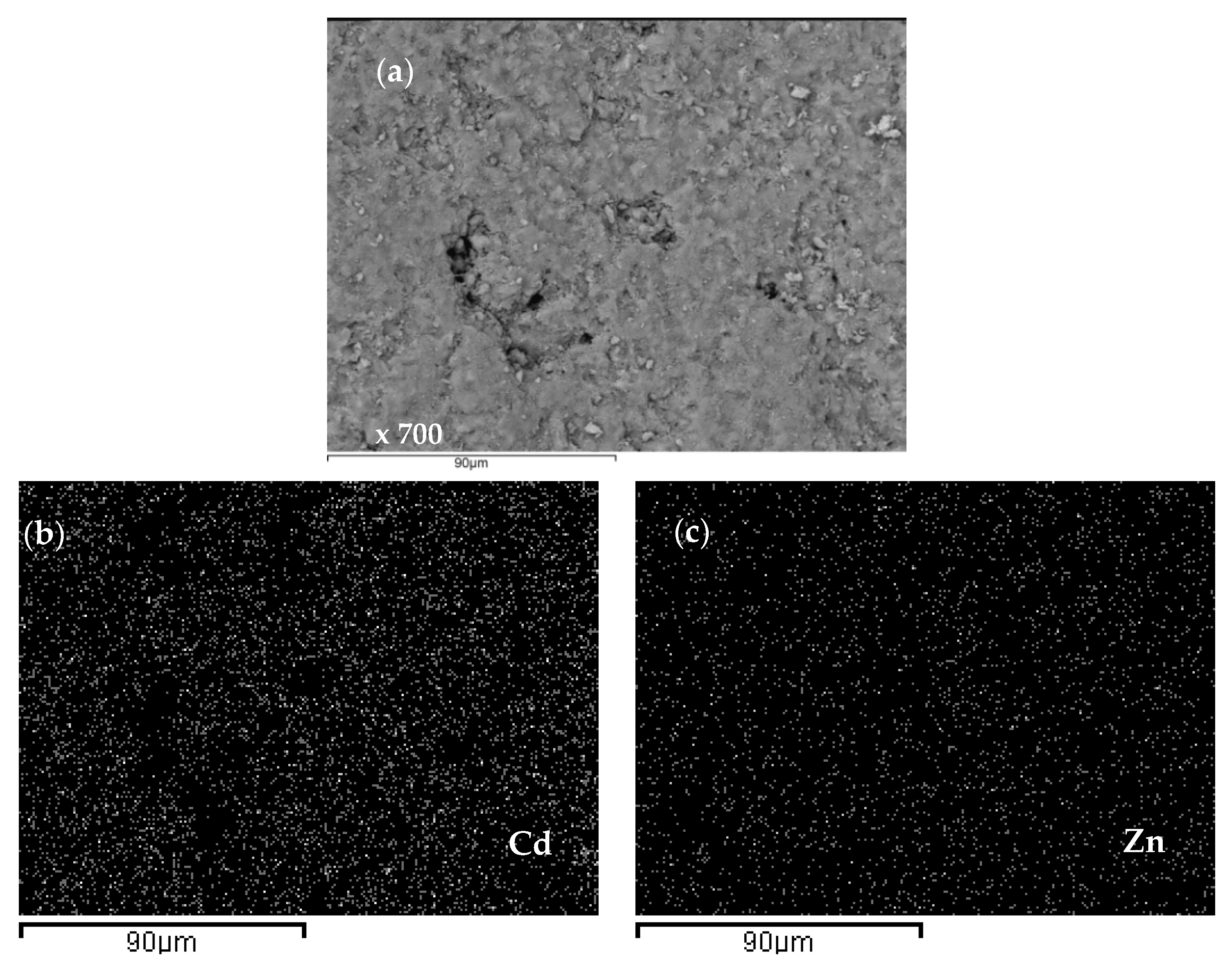 Ijerph 16 00426 g019