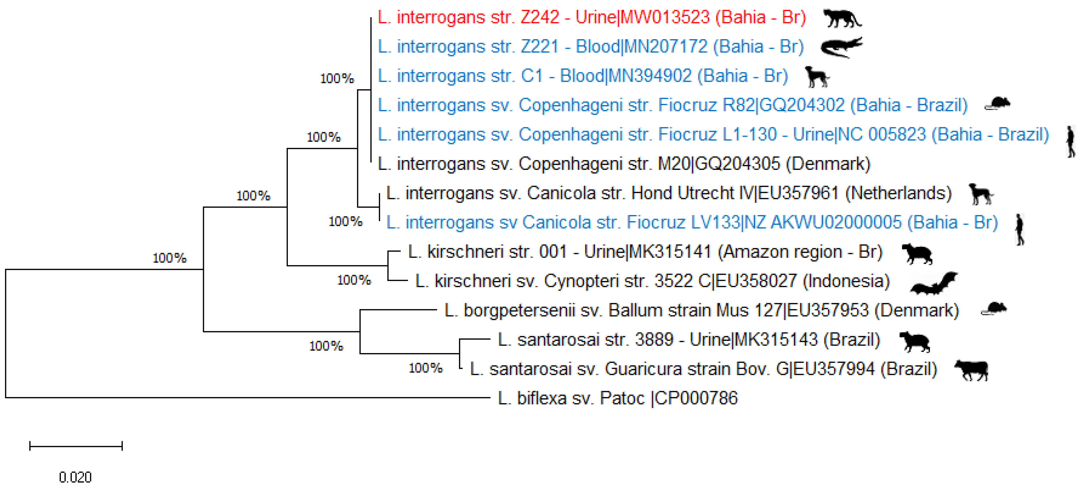 Ijerph 18 00793 g001 Ijerph 18 00793 g001