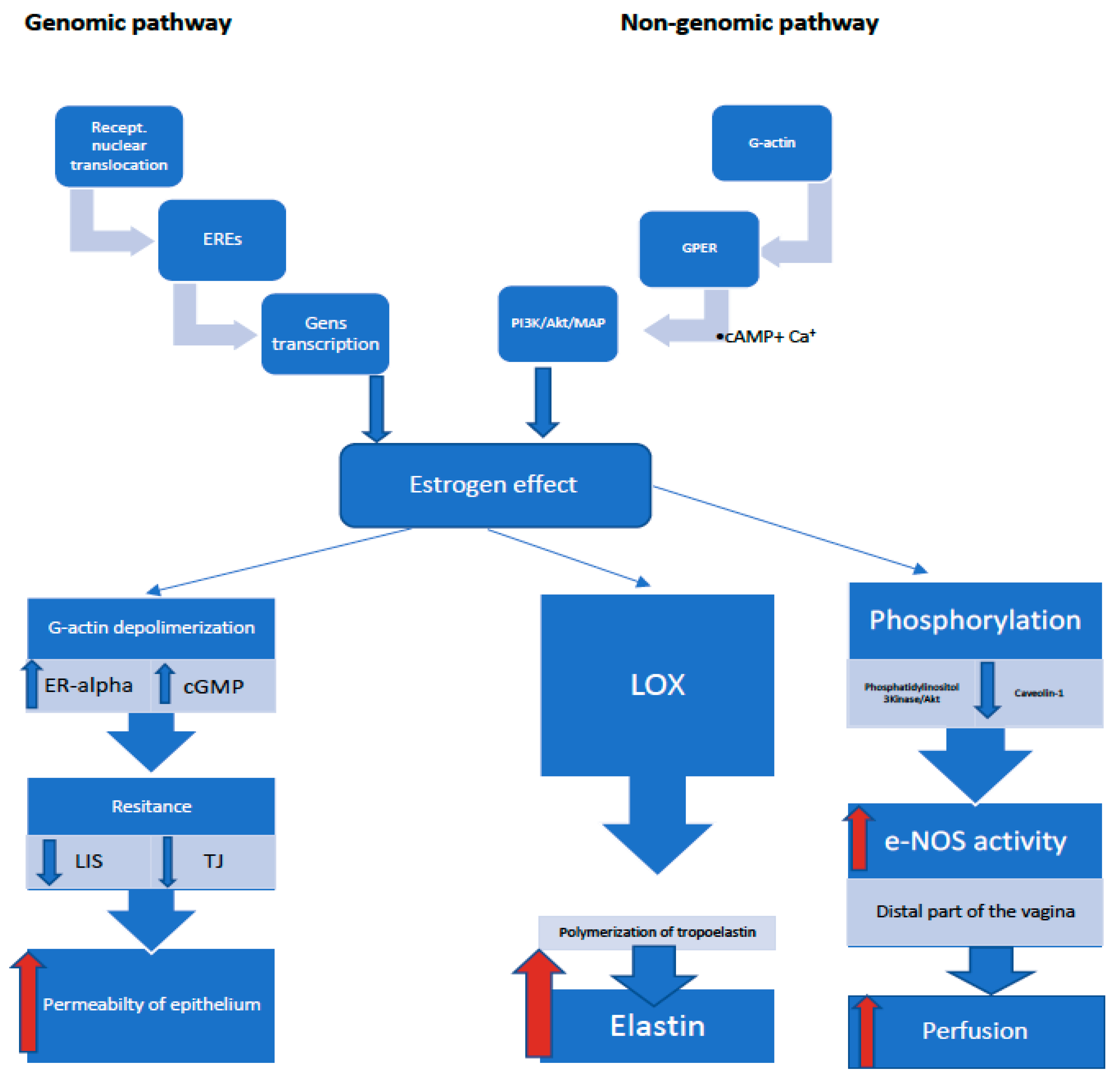 Ijerph 18 04935 g002 Ijerph 18 04935 g002