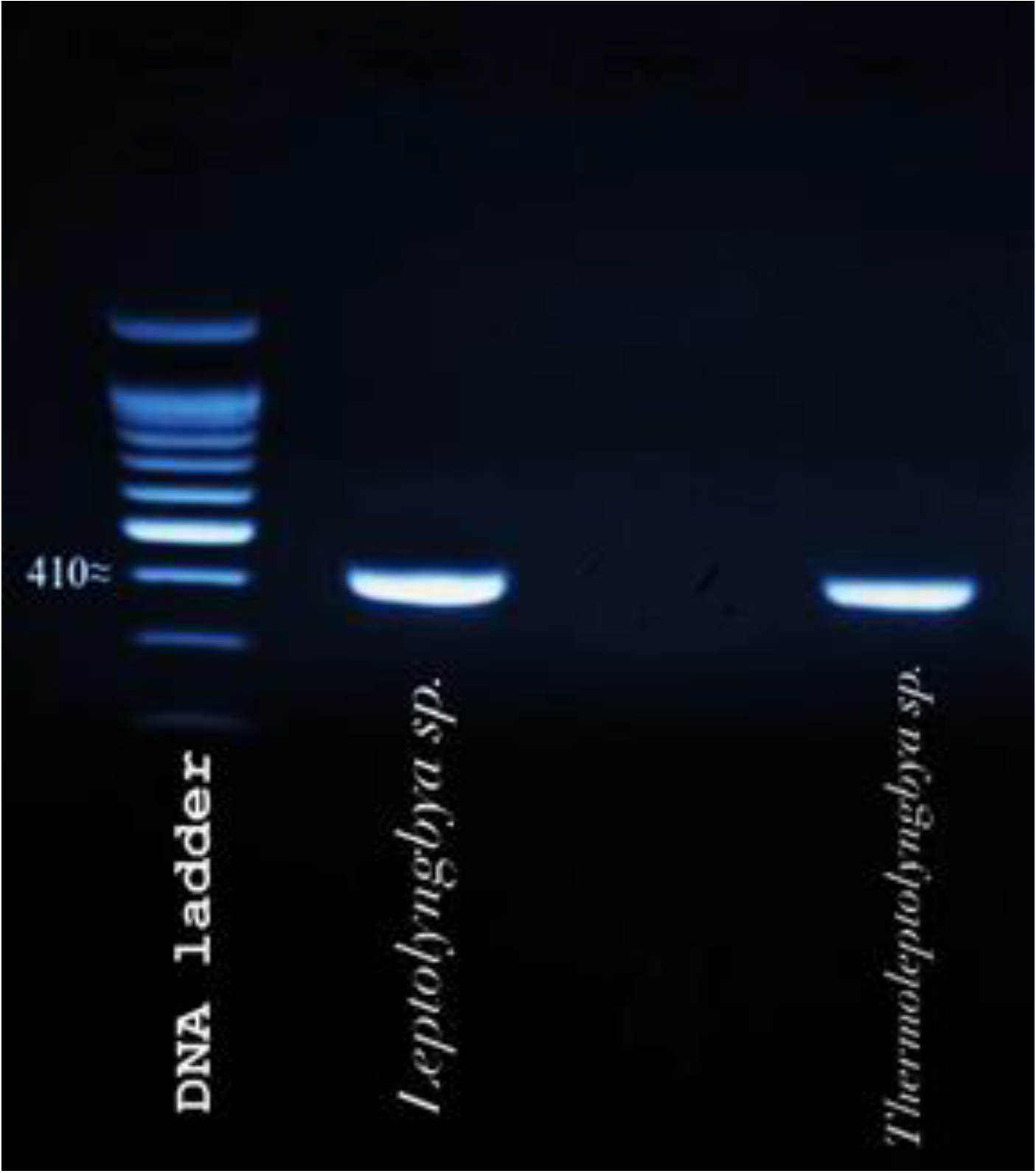 Ijerph 19 13305 g001